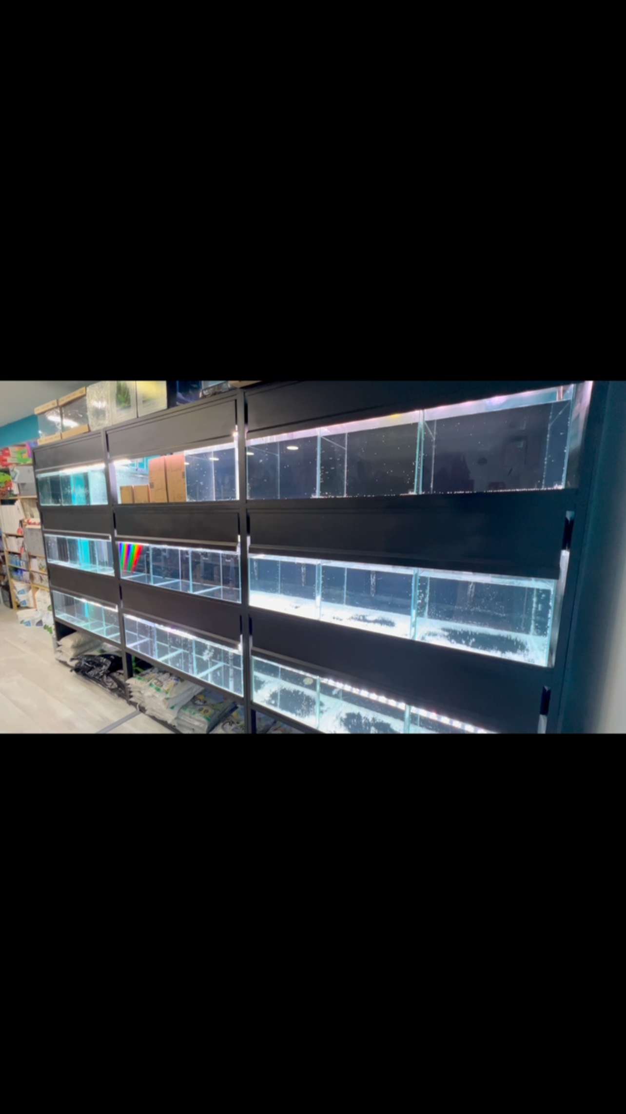 Con el objetivo de superarnos en todo momento y de competir contra nuestra peor competencia, nosotros mismos, mejoramos nuestras instalaciones para poder ofreceros una experiencia más gratificante cada vez que nos visitáis, con estos nuevos acuarios de la mano de @novopet_com podréis ver con mayor claridad todas las especies disponibles.
〰️〰️〰️〰️〰️〰️〰️〰️〰️
✅Trabajando duro cada día para ofreceros lo mejor
〰️〰️〰️〰️〰️〰️〰️〰️〰️
?Plaza Ondarreta 1, Alcorcón.
〰️〰️〰️〰️〰️〰️〰️〰️〰️
?️www.aquasalvaje.com
〰️〰️〰️〰️〰️〰️〰️〰️〰️
#aquasalvaje #madrid #alcorcon #aquarium #aquascape #aquascaping #aquariumdesign #acuarioplantado #aquariumhobby #aquascaper #aquariumfish #aquarist