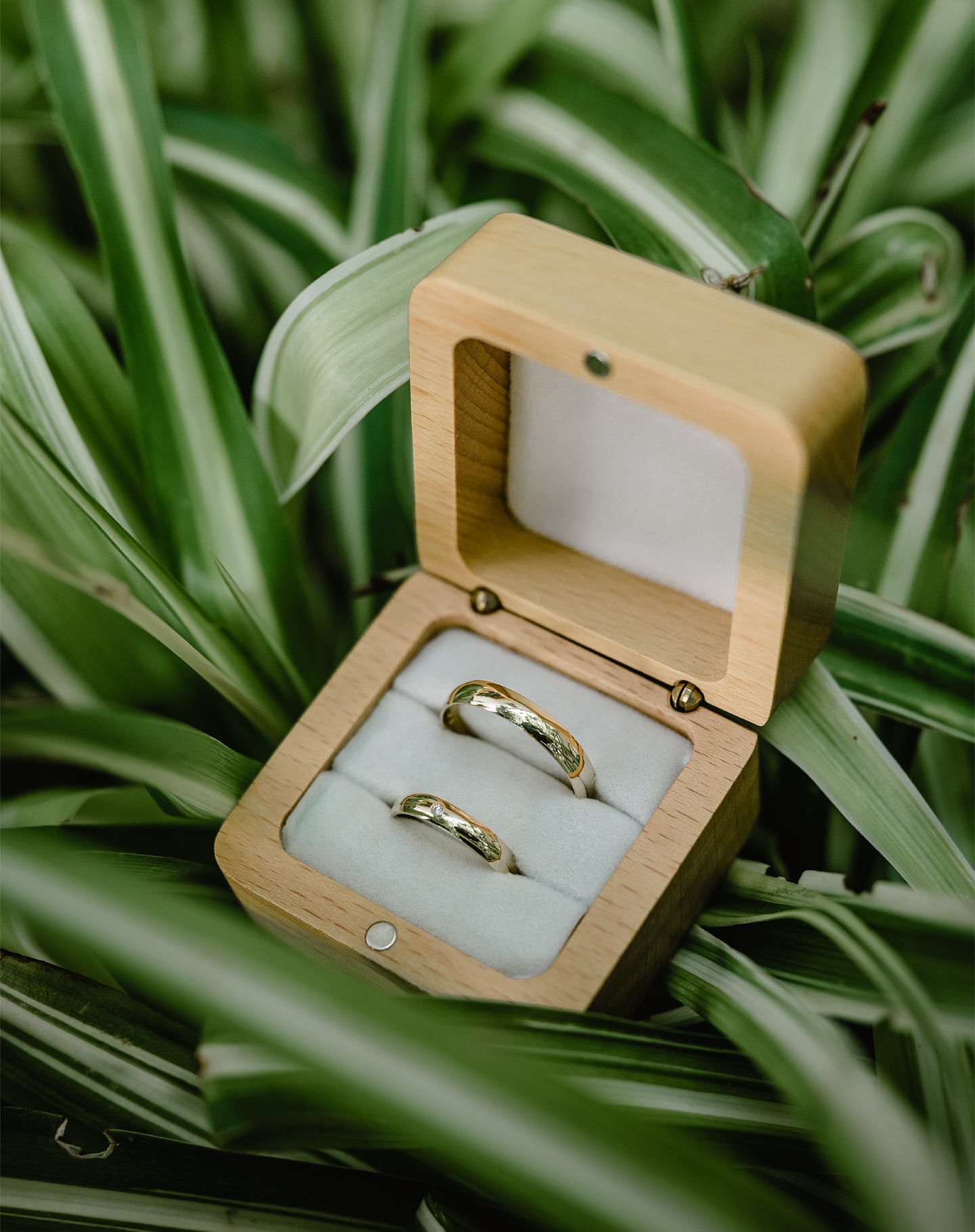 Los pequeños detalles que lo dicen todo ✨
El día de la boda cada accesorio tiene un significado especial: los pendientes que heredaste o te regaló alguien especial, los zapatos que elegiste con tanta ilusión, el ramo con una flor a juego con la decoración de la boda, las alianzas con vuestros nombres que os acompañarán toda vuestras vidas…
Como fotógrafa de bodas en Mallorca, me encanta capturar estos detalles que muchas veces pasan desapercibidos, pero que son parte de tu historia. Son piezas únicas que completan el look de la novia y hacen que cada reportaje sea aún más personal y auténtico.
Porque cuando vuelvas a ver tus fotos, no solo recordarás cómo estabas… también revivirás cómo te sentías ?
Fotografía y video: @priscalagunaphotographer
Wedding Planner y DJ: @artweddingeventmusic
Finca: @fincalareal
Flor y decoración: @sabinataeventos
Catering: @catering_bon_gust