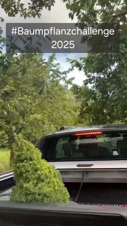 Wir wurden von der @ffw.st.georgen für die #baumpflanzchallenge2025 ? nominiert und hatten 72 Stunden Zeit einen Baum zu pflanzen.
Leider haben auch wir es nicht innerhalb der vorgegebenen Frist geschafft. ? Dafür freuen wir uns jetzt schon sehr auf eine gemeinsame Brotzeit mit Euch. ???
Wir nominieren unseren Patenverein, den @trachtenvereingeltendorf . Auch ihr habt jetzt 72 Stunden Zeit einen Baum zu pflanzen, ansonsten freuen wir uns auf einen gemütlichen Abend mit Euch. ☺️
#Baumpflanzchallenge2025 #Trachtenverein #Feuerwehr #BaumPflanzen #Kammerdschaftsabend #Griabig