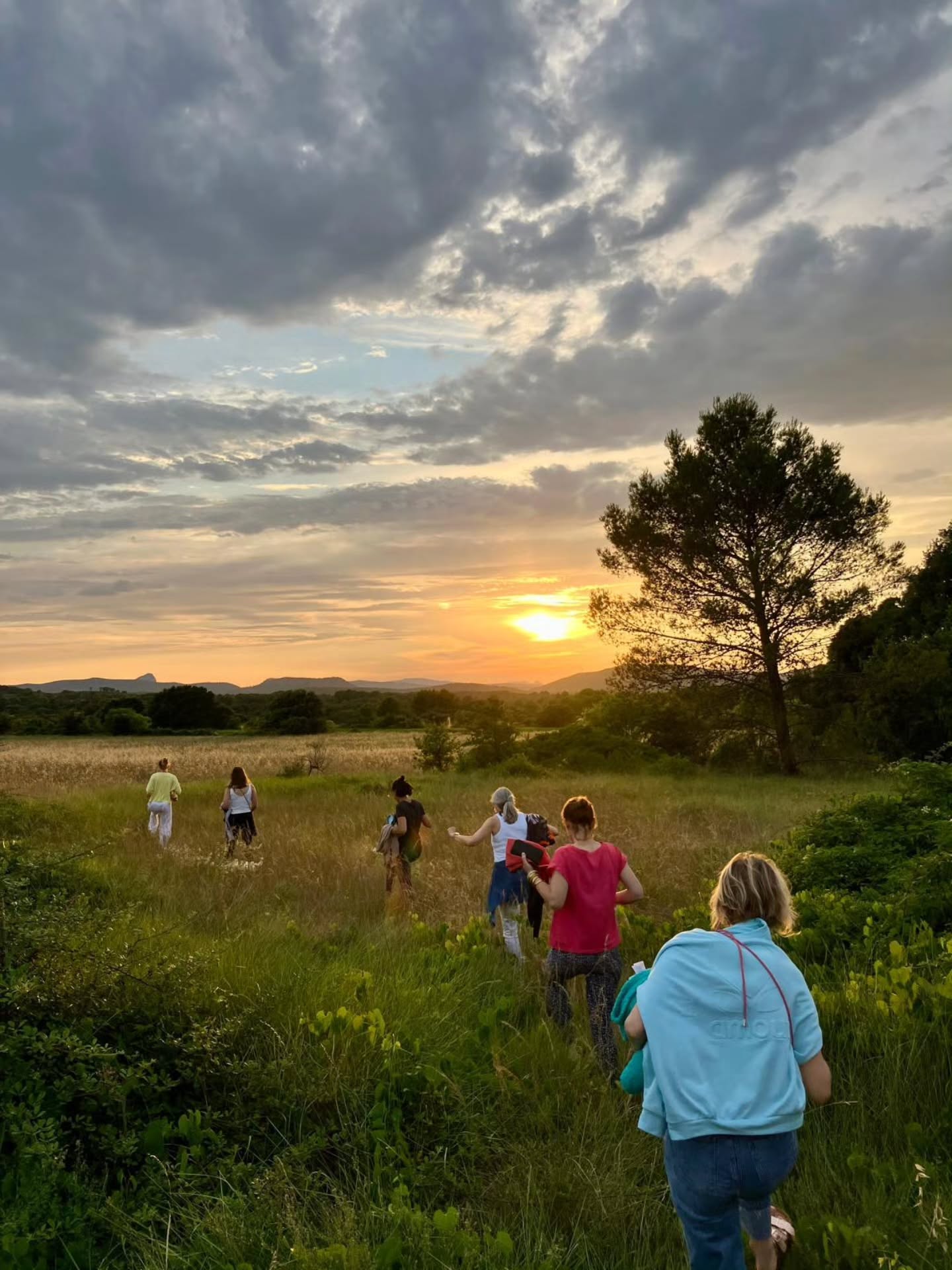 ✨🌻 Retour en images sur la retraite Shine – Spécial Été 🌞✨
En juillet dernier, Karen @lacabane.yoga.studio a guidé une retraite lumineuse à la Villa Jema, placée sous le signe du soleil, de l’énergie et de la joie.
Au programme :
🌞 Des pratiques de yoga revitalisantes
🌻 Des cercles de partage inspirants
🍃 Des balades au coucher du soleil et au bord de la mer
🥗 Des repas végétariens frais et colorés
💛 Des moments de rires, de danse et de connexion au bord de la piscine 
Un grand merci à toutes les participantes qui ont apporté leur belle énergie et fait rayonner cette retraite ! ✨
Rendez-vous en octobre pour une nouvelle retraite yoga "Divine" pour honorer le féminin sacré ♀️ avec Karen