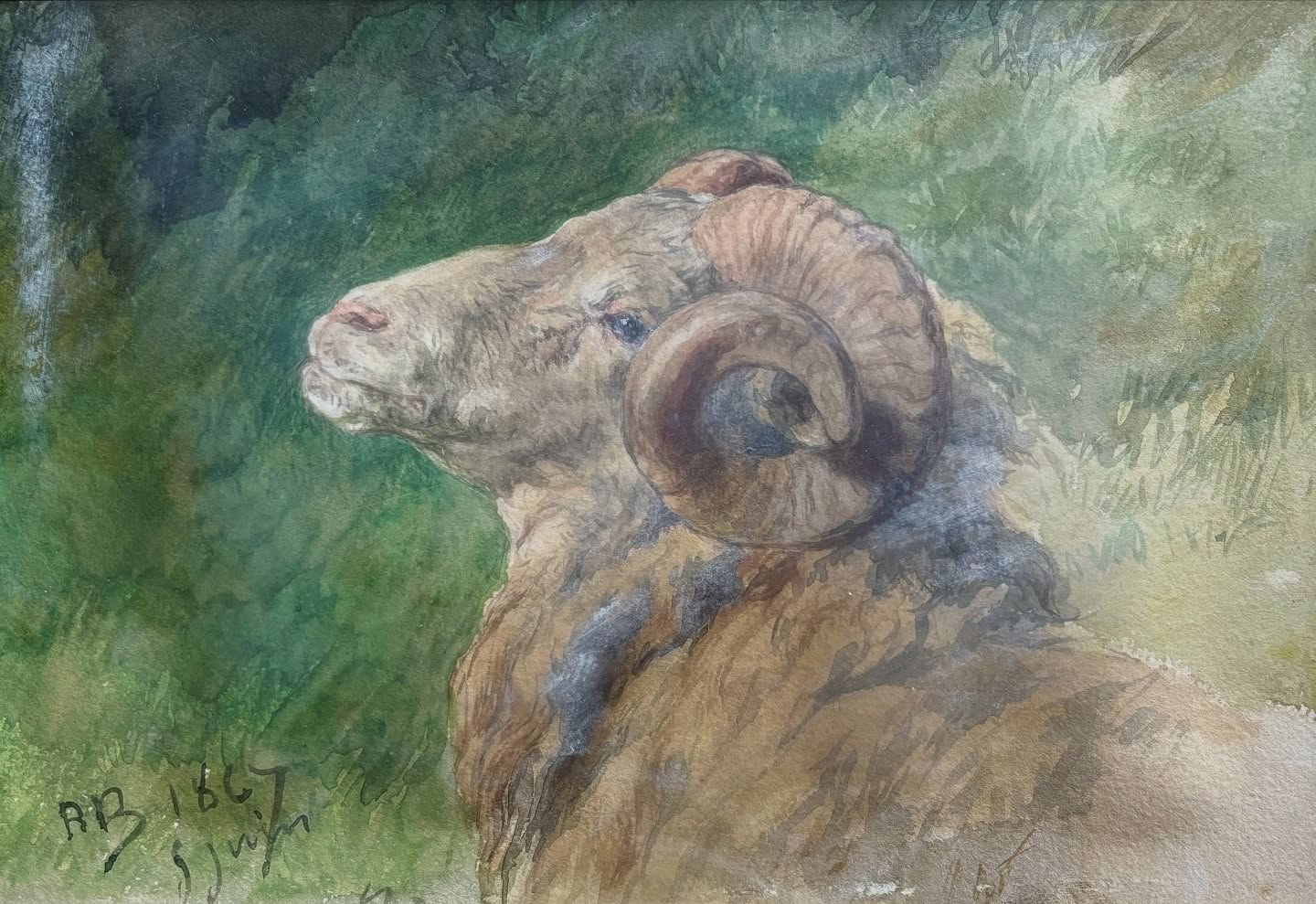 Profil de bélier, aquarelle de Rosa Bonheur.
Connaissez-vous l’histoire derrière cette belle acquisition ?
Laissez-nous vous la raconter. Un jour comme un autre au château, du travail et du thé. Et peut-être même un dessert créé par @zeliebrault du @salondetherosabonheur
Et là, Lily-Jeanne Brault, co-proprétaire du château, reçoit un appel de l’une de ses meilleures amies.
Elle est en Italie, et en discutant avec un antiquaire italien, il décide de lui sortir une aquarelle qu’il n’a pas encore exposé. C’est une petite aquarelle d’une peintre animalière française.
Son amie, ayant immédiatement reconnu Rosa, appelle Lily-Jeanne qui s’empresse de lui répondre de la garder à tout prix !!!
En racontant l’histoire du château, de ce projet fou, et des recherches qui y sont menées, l’antiquaire décide de faire une offre, et grâce à ce beau geste, le château a pu l’acquérir.
Ce sont ces histoires émouvantes qui rendent cette aventure si belle !
Et d’ailleurs, Rosa n’aurait-elle pas joué un rôle dans cette histoire ? ? on ne peut que se l’imaginer ?
Elle est en ce moment exposée dans la salle des études de Rosa Bonheur
#rosabonheur #museerosabonheur #chateaurosabonheur #belier #aquarelle
