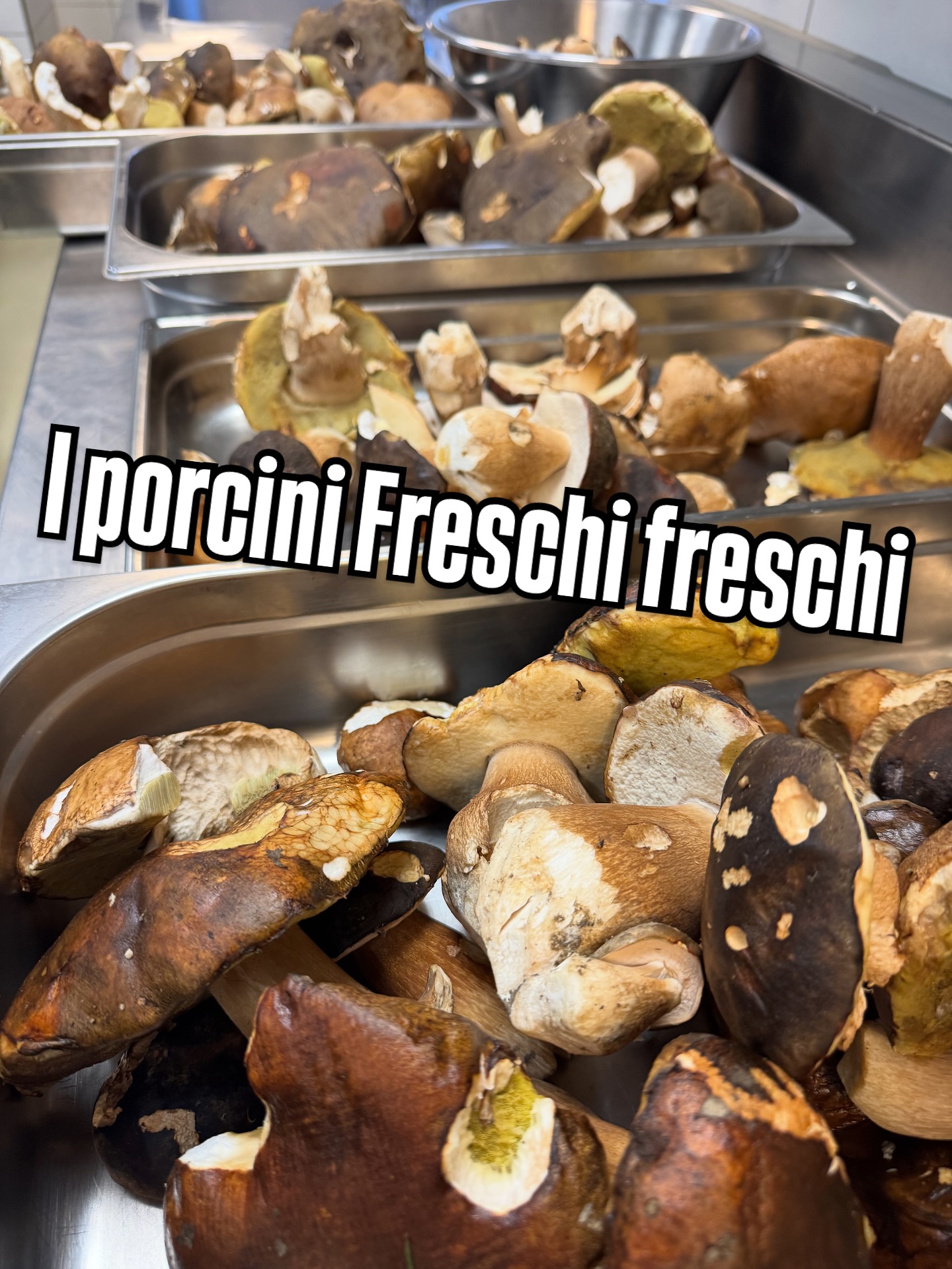 ?✨ Arrivage tout frais : les cèpes sont là ! ✨?
Cueillis avec soin, charnus et parfumés, ils n’attendent plus que vos casseroles et vos assiettes.
Un vrai trésor d’automne, disponible dès aujourd’hui en quantité limitée.
? Dépêchez-vous, les premiers arrivés seront les premiers servis !
#Cèpes #ChampignonsFrais #SaveursDAutomne #Gastronomie