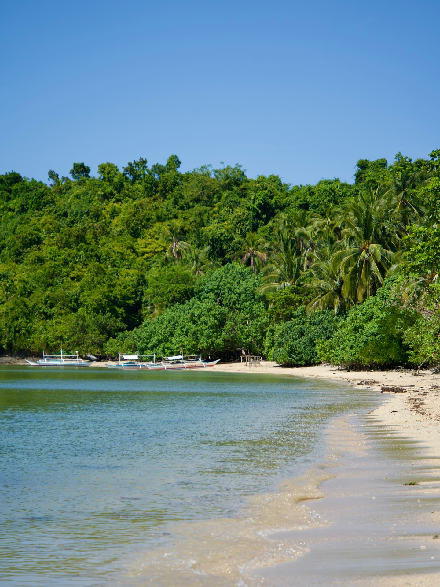 3 Must-Do’s in Port Barton, Philippines 😍⤵️1️⃣ Island Hopping: Spend a day visiting small islands around Port Barton. The water is turquoise, the beaches are quiet, and the fish are colorful. Some spots feel completely private..like your own little paradise! 🤩2️⃣ Snorkeling at German Island: The coral reefs here are beautiful. I saw clownfish, parrotfish, and starfish in the clear water. It’s like swimming in a natural aquarium.3️⃣ Hike to Pamuayan Falls: Just a short ride from Port Barton, you can hike through the jungle to Pamuayan Falls. The waterfall flows into a clear pool, perfect for swimming. It’s peaceful and feels like a hidden gem!#travel #travelgoals #traveltips
