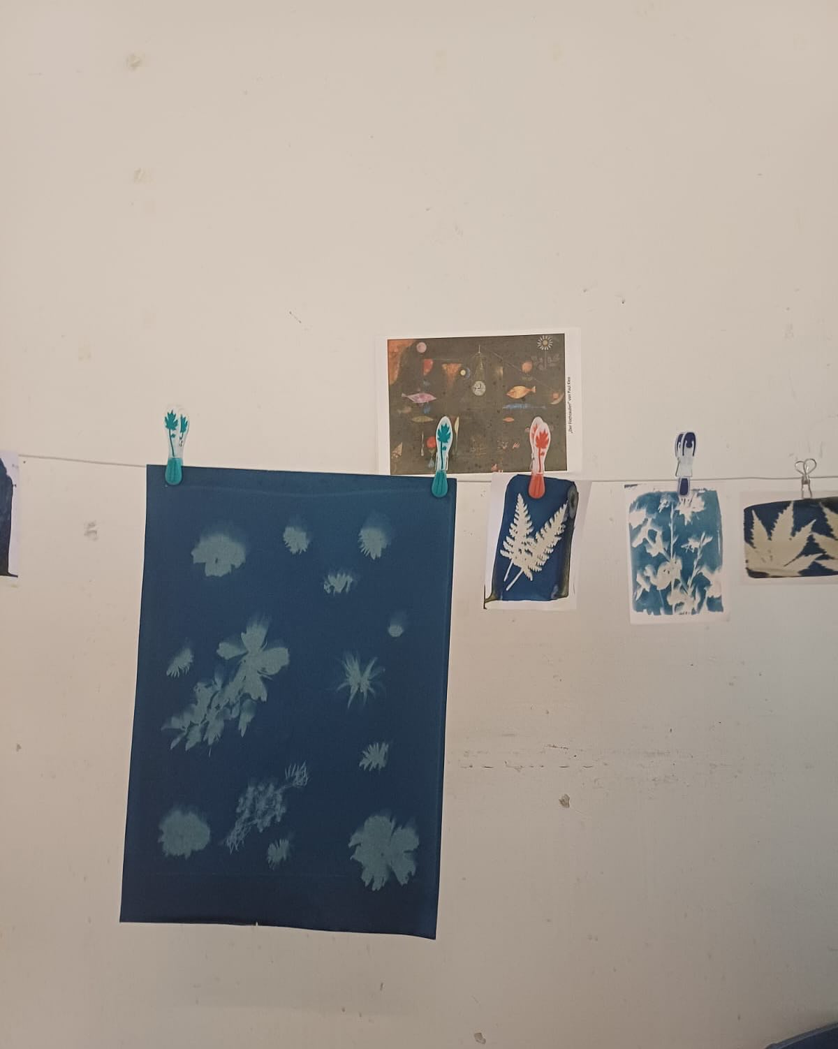 2DF mit dem Projekt #A NON-HISTORY OF PLANTS zur Ausstellung im Foto Arsenal Wien #arsenalwien #fotowien2025 #fotowien #zukunftgestalten #blumenfoto #themiraclegarden #floristikwerkstatt
