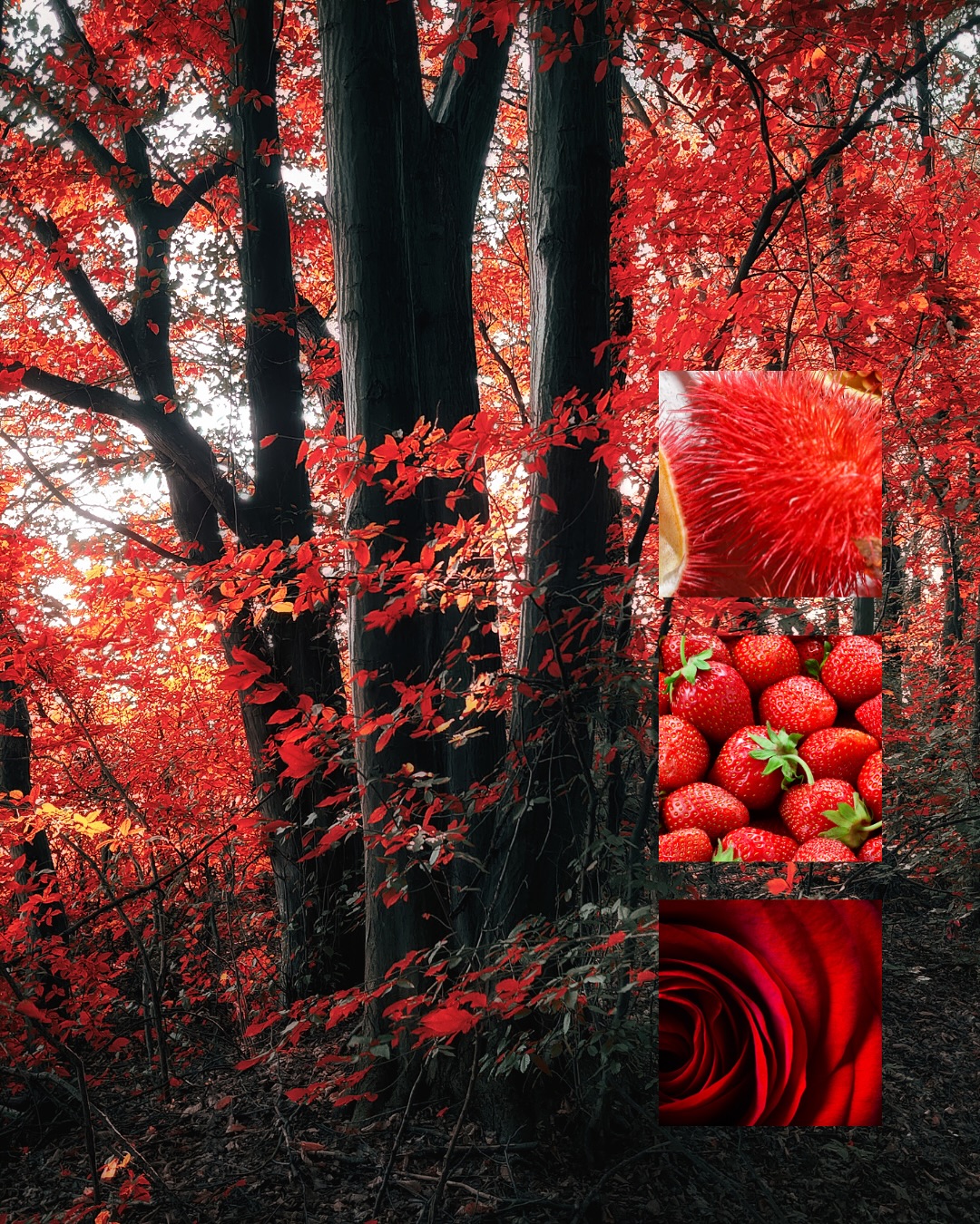 Farben haben eine unwahrscheinlich starke Wirkung auf uns. Oft sind wir uns dessen aber gar nicht bewusst.
Lass jeden Slide mal auf dich wirken und erzรคhl mir in den Kommentaren oder per DM, welche Farbe dich positiv und welche vielleicht negativ anspricht. Welche Gefรผhle und Gedanken werden von den unterschiedlichen Farben hervorgerufen? Was verbindest du mit ihnen?
Ich bin sehr gespannt auf deine Antworten. ๐ซถ๐ป
#farbpsychologie #farbenwirken #styletelling #stilalsselbstbegegnung #holisticinterior #wohnenerleben #ganzheitlicheswohnen #interioralsheilraum #farbanalyse #stilmitbedeutung #spirituellerraum #raumgestaltungmitseele #farbenalsprache