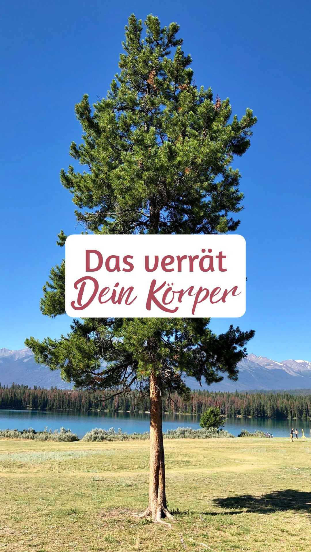 Wir lernen früh, stark zu sein.
Durchzuhalten.
Funktionieren, auch wenn unser Inneres längst nach Ruhe schreit.
Doch wahre Stärke entsteht nicht im Kampf, sondern in dem Moment, in dem du beginnst, deinem Körper zuzuhören.
Er zeigt dir, wo du dich verloren hast.
Und er zeigt dir auch den Weg zurück, in Sicherheit, Vertrauen und Frieden.
Du musst nicht mehr fliehen.
Nicht mehr leisten.
Du darfst einfach sein.
Und genau dort beginnt Heilung. ?
✨ Folge mir, wenn du dich wieder mit deiner inneren Ruhe, deiner Kraft und deinem Herzen verbinden möchtest.
#heilung #nervensystem #achtsamkeit #selbstliebe #bewusstsein #lebensfreude #innererfrieden #vertrauen #mut #seelenweg #herzensweg #birgitkuntze