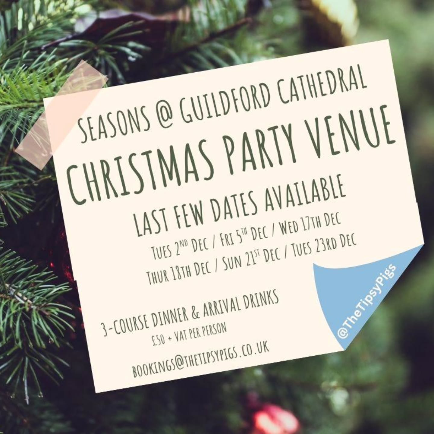 Have you booked your Office Christmas Party yet??
Fear not, we still have a few remaining dates this December......
Seasons @ Guildford Cathedral.
For £50 + VAT pp you'll get.......
🍴 Quality 3-course Christmas Dinner
🥂 Arrival bubbles
☕️ Tea & Coffee post dinner
🕚 Venue hire from 6pm to Midnight
🪑 Seating for 150 guests
🍸 Bar with great range and cocktails
🚗 FREE parking on site
⛪️ Backdrop of the Majestic Cathedral
🎵 Stage for your own DJ or band
Get in touch now by emailing bookings@thetipsypigs.co.uk.
#christmas #christmas2025 #christmasparty #christmaspartyvenue #christmasofficeparty