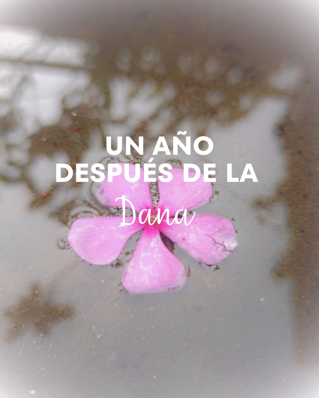 Hoy no quiero hablar de lluvias ni de tormentas.
Quiero hablar de lo que vino después.
De ese silencio raro tras el ruido del agua.
De las manos que temblaban sin saber por qué.
De las noches en las que el cuerpo se tensaba solo con oír truenos.
? Muchas personas me han contado este año que todavía sienten miedo cuando llueve.
Que no soportan mirar las noticias del tiempo.
Que su cuerpo aún recuerda, aunque la mente diga que “ya pasó”.
Y quiero decirte algo: eso también es trauma.
No hace falta haber perdido una casa para haber perdido la calma.
Pero también he visto algo hermoso:
la solidaridad que sanó más que el sol,
la comunidad que se sostuvo sin saber cómo,
y la fuerza que nace cuando decides no callar lo que dolió.
? A veces sanar no es olvidar,
sino aprender a vivir con lo que el agua dejó.
Si hoy sientes que aquella DANA aún vive dentro de ti, háblalo, compártelo, cuéntalo.
Porque hablar del dolor no lo agranda… lo libera.
?Un abrazo enorme a todas las personas que todavía se están reconstruyendo,
por fuera o por dentro.
Helga Puerta
#danavalencia #valenciafuerte #saludmental #resilienciavalencia #psicologiavalencia #resilienciaemocional #sanaremocionalmente #psicologíacercana #comunidadvalencia #memoriacolectiva #florecerdespuesdelatormenta