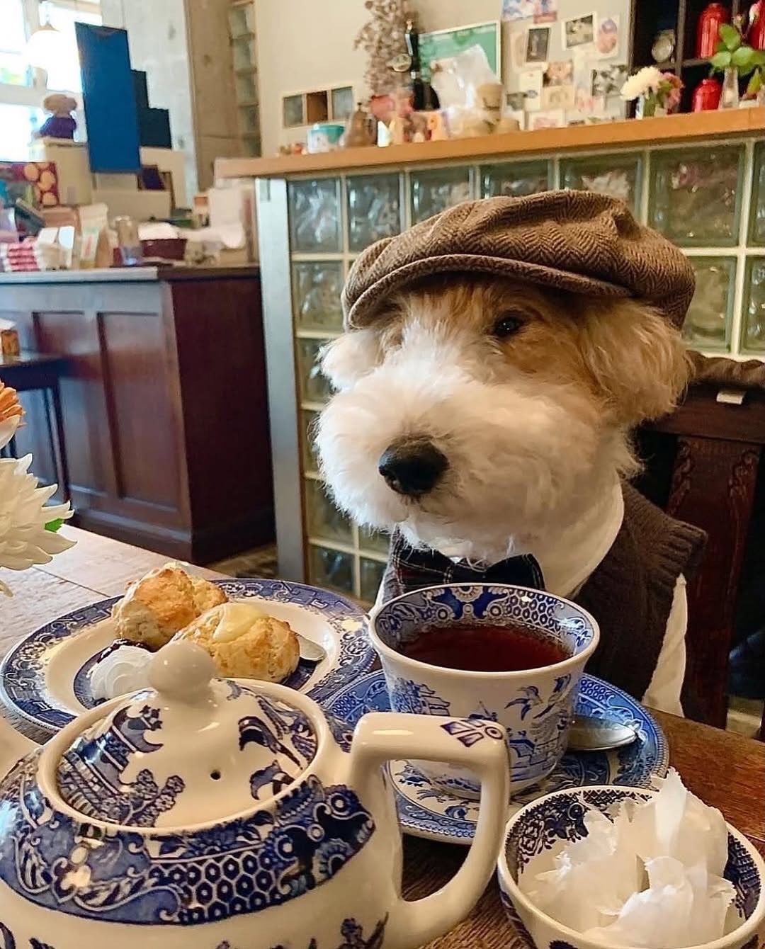 Shall we have breakfast with him? ?
?
@borotan