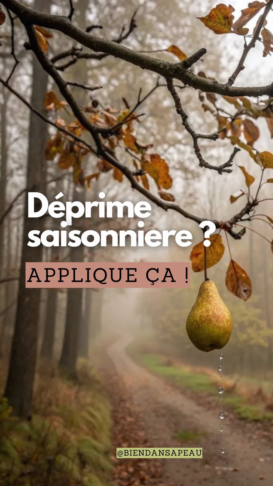 Tu ressens une petite déprime saisonnière ? ?
C’est normal et tu n’es pas le/la seul.e : quand la luminosité baisse, ton cerveau produit moins de sérotonine et ton rythme circadien se dérègle. Voici 5 leviers naturels qui ont un vrai impact physiologique :
1. Lumière naturelle (20–30 min)
La lumière du jour agit directement sur l’hypothalamus. Elle réajuste ton horloge interne, améliore l’éveil et stimule la production de sérotonine. Même par temps gris, s’exposer à la lumière extérieure reste bénéfique.
2. Bouger 10–15 min
L’activité physique, même douce, stimule les neurotransmetteurs de l’humeur comme la sérotonine et la dopamine. C’est aussi un moyen simple de stabiliser la glycémie, ce qui évite les fluctuations d’énergie et de moral. Une marche, quelques mobilités ou du stretching suffisent.
3. Collation 16–17 h
À ce moment de la journée, ton cerveau a besoin de tryptophane, précurseur de la sérotonine. Une petite collation apportant glucides + lipides aide le tryptophane à mieux franchir la barrière hémato-encéphalique.
Idées simples :
- glucides : fruit frais, compote sans sucre ajouté, carré de chocolat noir, 2 dattes
- lipides : poignée de noix ou d’amandes, graines de chia et beurre d’amande, 2 noix du Brésil
Associer les deux favorise un mental plus stable en fin de journée et prépare un sommeil plus qualitatif.
4. Vitamine D
Elle agit comme une hormone et influence des récepteurs impliqués dans la régulation de la sérotonine. Avec la baisse de lumière, les réserves chutent, ce qui peut impacter l’humeur, l’énergie et l’immunité.
5. Magnésium (bisglycinate ou malate)
Indispensable à la fabrication de la sérotonine et au fonctionnement du GABA (le neurotransmetteur apaisant). Il soutient le système nerveux, réduit les tensions, et aide le moral à rester plus stable quand la charge mentale ou la fatigue augmentent.