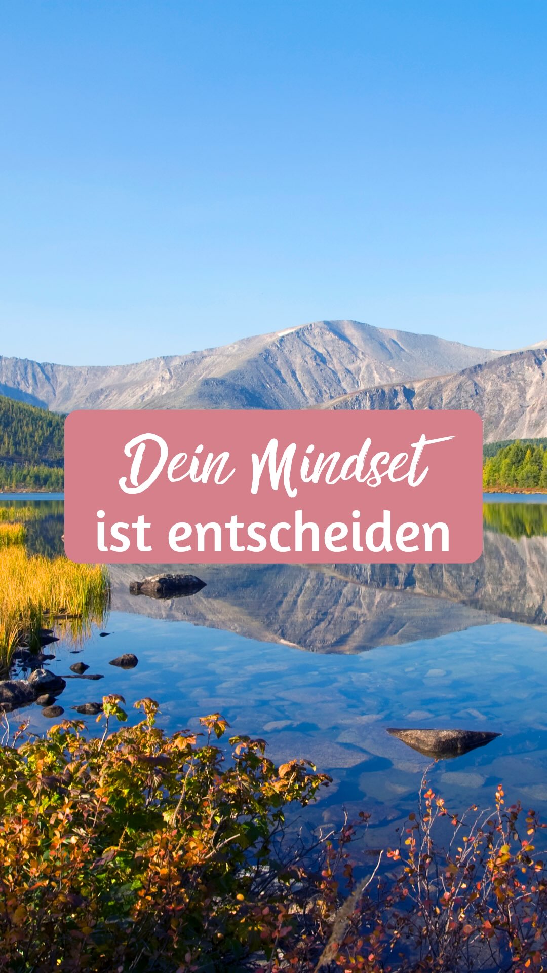 Je mehr du Geld jagst, desto weiter entfernt es sich von dir.
Nicht, weil du „zu wenig tust“, sondern weil deine Energie etwas anderes sagt als dein Wunsch.
Druck erzeugt Distanz.
Fülle entsteht in Ruhe.
Wenn du Geld hinterherläufst, sendest du:
„Ich brauche. Ich habe nicht. Ich bin nicht genug.“
Diese Frequenz ist Mangel – und Mangel kann keine Fülle anziehen. Doch sobald du innerlich weich wirst, deinen Atem spürst, den Kampf loslässt…
verändert sich alles.
Du beginnst, eine Identität zu verkörpern, die Fülle nicht sucht, sondern selbstverständlich lebt.
Und genau das ist der Punkt, an dem Geld zu dir zurückfließt.
Es ist nicht der Weg des Drucks, sondern der Weg der Verkörperung.
Die Version von dir, die finanziell frei ist, trifft andere Entscheidungen, spürt andere Impulse, handelt aus einer anderen Energie.
Wenn du diese Identität in dir aktivierst, arbeitest du nicht mehr „für Geld“, sondern aus Fülle heraus.
Und genau auf diesem Weg begleite ich dich – zurück in deine Ruhe, in deine Kraft, in die Frequenz, die Fülle anzieht statt abstößt.
✨ Wenn du lernen möchtest, wie du energetisch in Fülle kommst, schreib mir oder kommentiere mit „FREQUENZ“ und ich melde mich bei dir mit allen Informationen.
#fülleenergie #verkörperung #frequenzarbeit #energetischeheilung #innererwandel #mindset #bewusstseinsarbeit #energycoaching #humanimalhealing #birgitkuntze