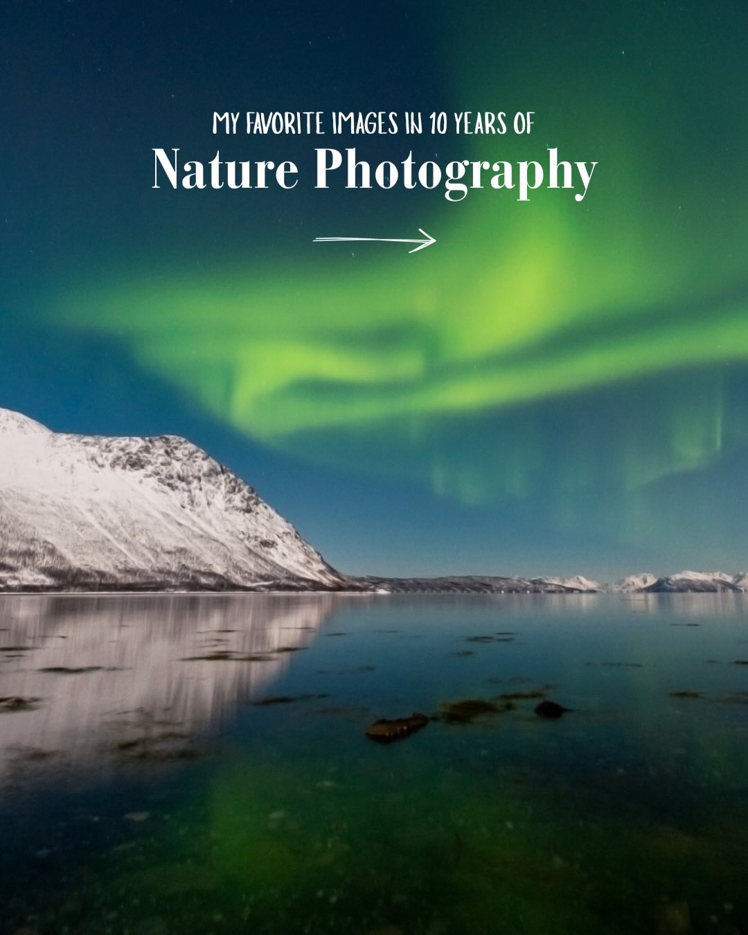 🇬🇧 I picked up my first camera… 🇬🇧 I picked up my first camera…