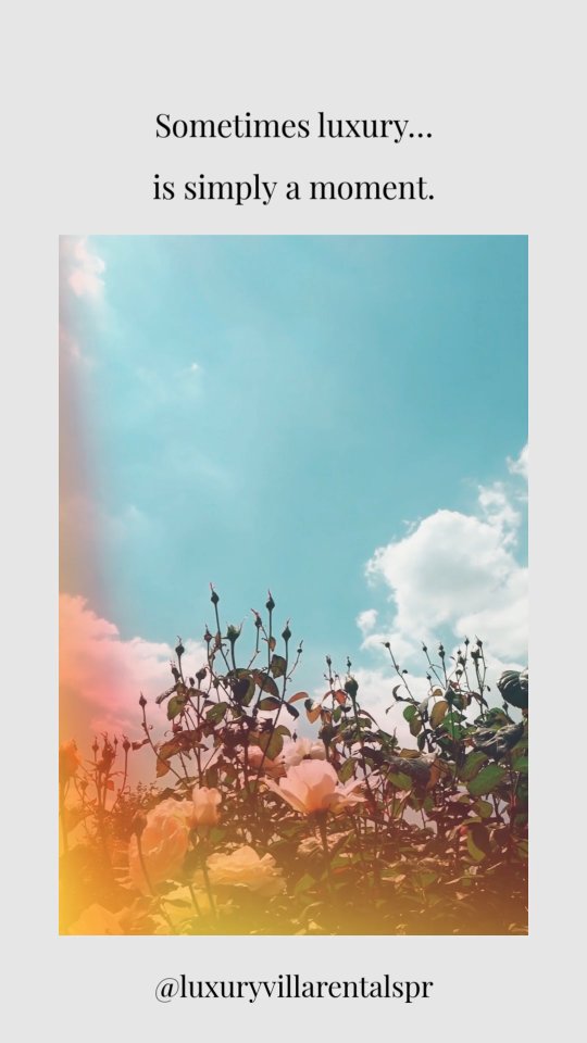 This season, we’re celebrating the quiet moments — the ones that feel real, grounding, and worth keeping. ✨
Share one moment you’re grateful for on Stories and tag @luxuryvillarentalspr.
One participant will receive a March Escape:
3 days / 2 nights on us. ?
Sometimes, gratitude is the greatest luxury. ?
#LuxuryVillaRentalsPR #PuertoRicoGetaway #LuxuryStay #GratitudeSeason #TropicalEscape #IslandLife #TravelPuertoRico #VacationMode #LuxuryLifestyle