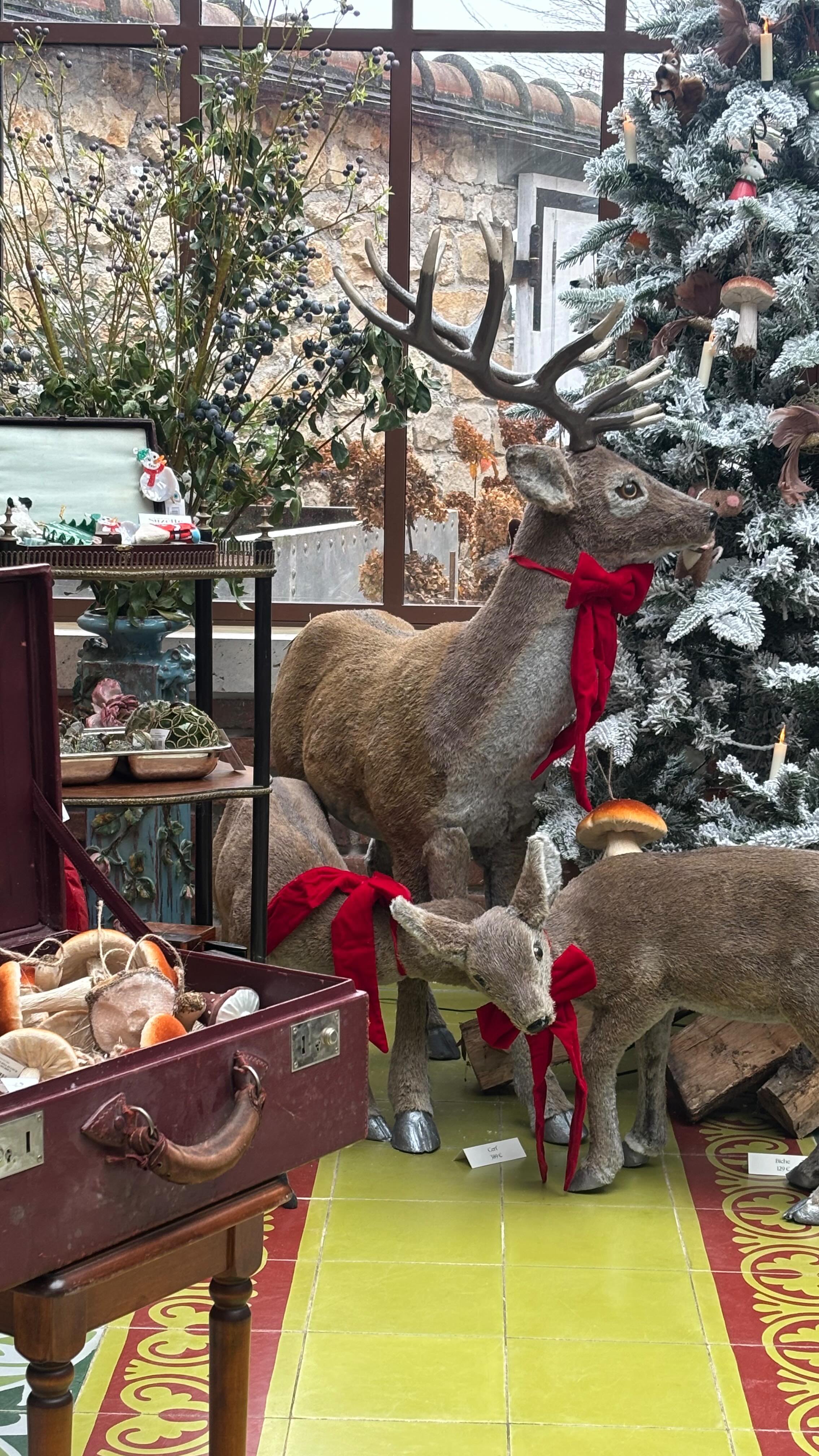 ?Certains vont se précipiter dans les grands magasins, d’autres feront leurs sapins et cadeaux au dernier moment… on vous propose au château de Rosa Bonheur de découvrir un univers merveilleux, dans un univers enchanté mêlé à celui de Rosa Bonheur et de Béatrix Potter.
Un chocolat chaud, des souris pâtissières, des chouettes enneigées et des barrettes à l’effigie de nos compagnons à quatre pattes !
Et en parlant de Béatrix Potter…On vous prépare plein d’autres surprises ! Restez bien connectés ?
Joyeux Noël ?
#noel #christmas #beatrixpotter #rosabonheur #chateaurosabonheur
