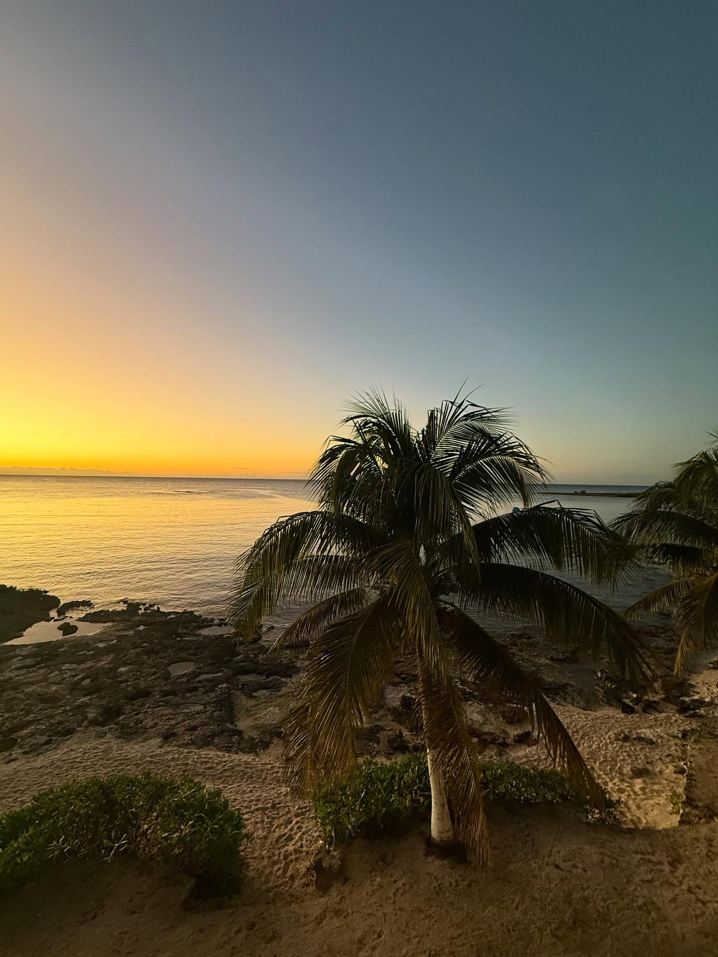 First morning swim 2026. Happy new year! ☀️☀️
#swimming #mexico #carribean