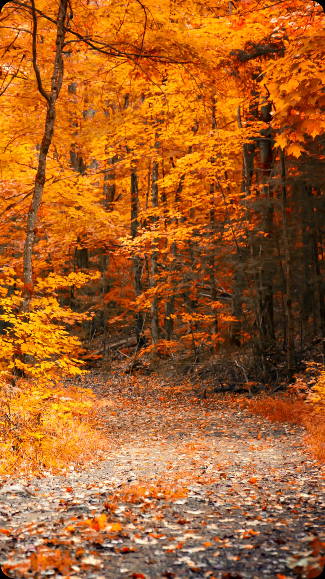 Noch freie Termine am Samstag!!!?
#reminder #potsdam #lovemyjob