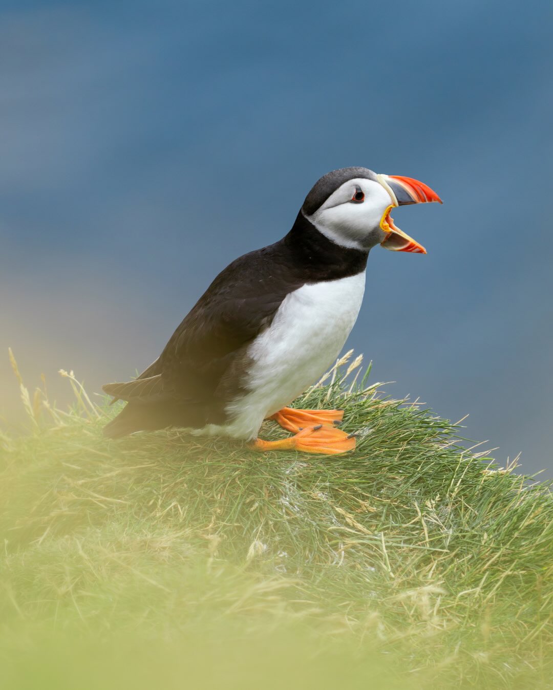 Travel gives me something noth… Travel gives me something noth…