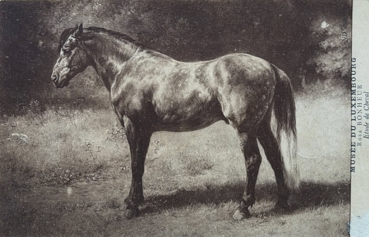 ?Nous avons reçu un cadeau qui nous touche profondément : une ancienne carte postale représentant un cheval peint par Rosa Bonheur.
Un petit objet en apparence… mais porteur d’une immense émotion.
Alors que nous construisons patiemment le fonds d’archives dédié à Rosa Bonheur, ce don revêt une signification toute particulière. Il témoigne de la confiance que vous nous accordez, de l’attention que vous portez à notre travail, et de votre désir de voir ces fragments d’histoire revenir là où ils prennent tout leur sens : au château, dans la maison même de l’artiste.
Cette carte postale rejoint aujourd’hui nos archives, où elle sera préservée, étudiée et chérie.
Et à travers elle, c’est aussi un geste de reconnaissance envers toutes les personnes qui conservent précieusement des documents liés à Rosa Bonheur… et qui choisissent de nous en confier la mémoire.
Merci de faire vivre cette histoire avec nous. ??
#don #rosabonheur #chateaurosabonheur #archives #lettre