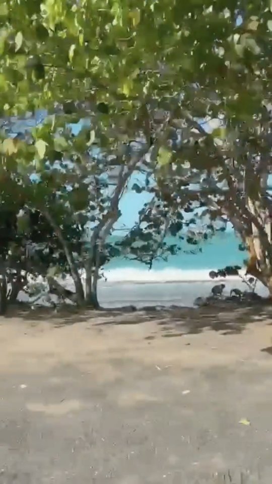 Cruising through paradise, where every stay feels effortless. ✨
Luxury spaces, island views, and moments designed to help you slow down and enjoy the journey. ??
Start your next escape here:
www.luxuryrentalspr.com
#LuxuryVillaRentals #PuertoRico #IslandDrive #LuxuryEscape