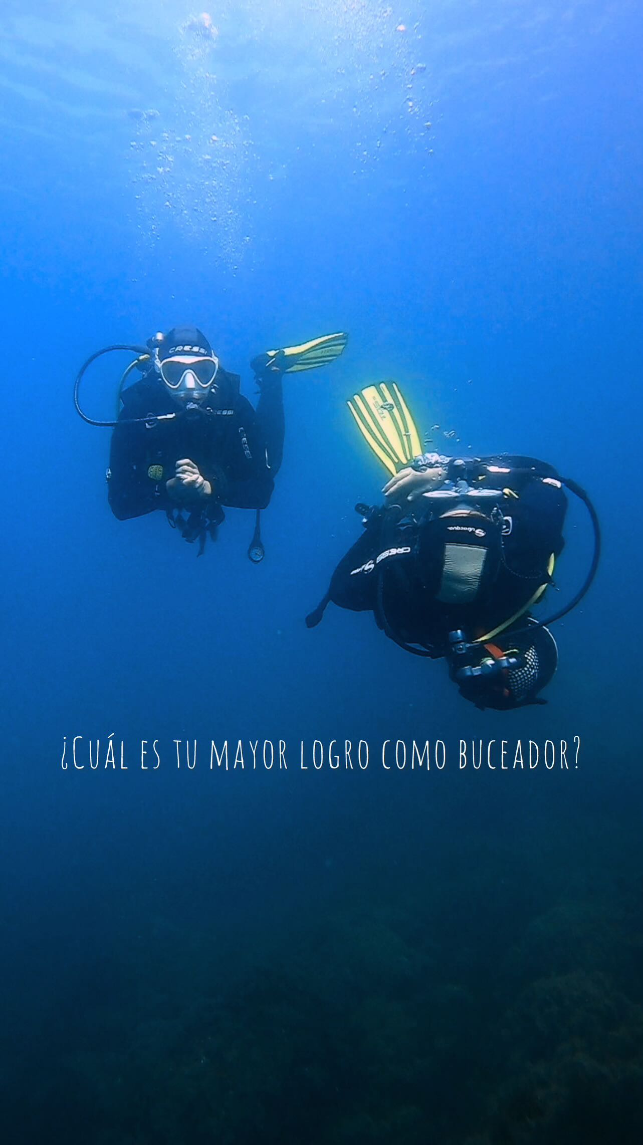 ¿De qué te sientes más orgulloso como buceador?
Para la mayoría, probablemente será dominar el ejercicio de quitar y poner la máscara ???
? Cuéntanos en comentarios cuál ha sido tu mayor logro bajo el agua.