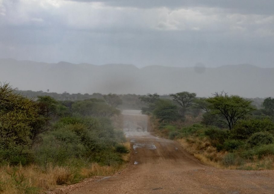 Namibia. Work and Travel - geht auch mit über 40 😀.
Erst kam die Pflicht, dann die Kür. Voller und Abwechslungsreicher hätten die 8 Tage in dem atemberaubenden Land nicht sein können.
Begonnen mit dem 401km langem MTB-Rennen @nedbankdesertdash durch die Wüste, gemeinsam mit Romy Stotz @ultraradverliebt für das @bike.magazin und Mega Support der deutschstämmigen Familie Großmann vor Ort @timmo_grossmann , weiter mit frühmorgentlicher Schreibarbeit über das Dash und an meinem Buch über meinen sommerlichen ‚European Connection Trail‘, in HaliGali mit der Familie am Nachmittag. Buschtouren, wilden Tieren, Farmen, heftigen Gewittern und vielen tollen Begegnungen.
Ich komme wieder - denn eigentlich habe ich noch gar nichts gesehen.
#namibia #desertdash #wildlife #workandtravel