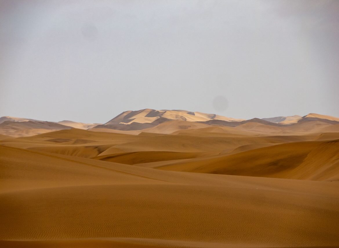 Namibia. Work and Travel - geht auch mit über 40 😀.
Erst kam die Pflicht, dann die Kür. Voller und Abwechslungsreicher hätten die 8 Tage in dem atemberaubenden Land nicht sein können.
Begonnen mit dem 401km langem MTB-Rennen @nedbankdesertdash durch die Wüste, gemeinsam mit Romy Stotz @ultraradverliebt für das @bike.magazin und Mega Support der deutschstämmigen Familie Großmann vor Ort @timmo_grossmann , weiter mit frühmorgentlicher Schreibarbeit über das Dash und an meinem Buch über meinen sommerlichen ‚European Connection Trail‘, in HaliGali mit der Familie am Nachmittag. Buschtouren, wilden Tieren, Farmen, heftigen Gewittern und vielen tollen Begegnungen.
Ich komme wieder - denn eigentlich habe ich noch gar nichts gesehen.
#namibia #desertdash #wildlife #workandtravel