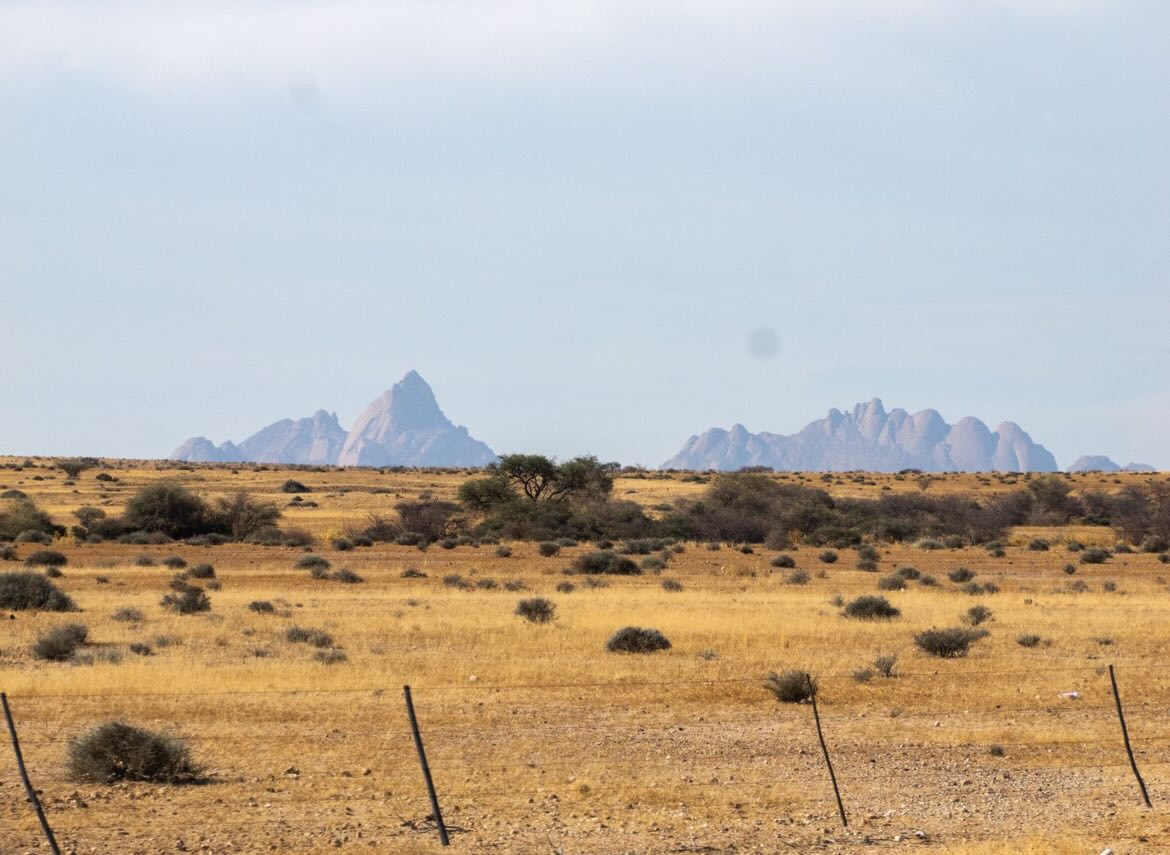 Namibia. Work and Travel - geht auch mit über 40 😀.
Erst kam die Pflicht, dann die Kür. Voller und Abwechslungsreicher hätten die 8 Tage in dem atemberaubenden Land nicht sein können.
Begonnen mit dem 401km langem MTB-Rennen @nedbankdesertdash durch die Wüste, gemeinsam mit Romy Stotz @ultraradverliebt für das @bike.magazin und Mega Support der deutschstämmigen Familie Großmann vor Ort @timmo_grossmann , weiter mit frühmorgentlicher Schreibarbeit über das Dash und an meinem Buch über meinen sommerlichen ‚European Connection Trail‘, in HaliGali mit der Familie am Nachmittag. Buschtouren, wilden Tieren, Farmen, heftigen Gewittern und vielen tollen Begegnungen.
Ich komme wieder - denn eigentlich habe ich noch gar nichts gesehen.
#namibia #desertdash #wildlife #workandtravel