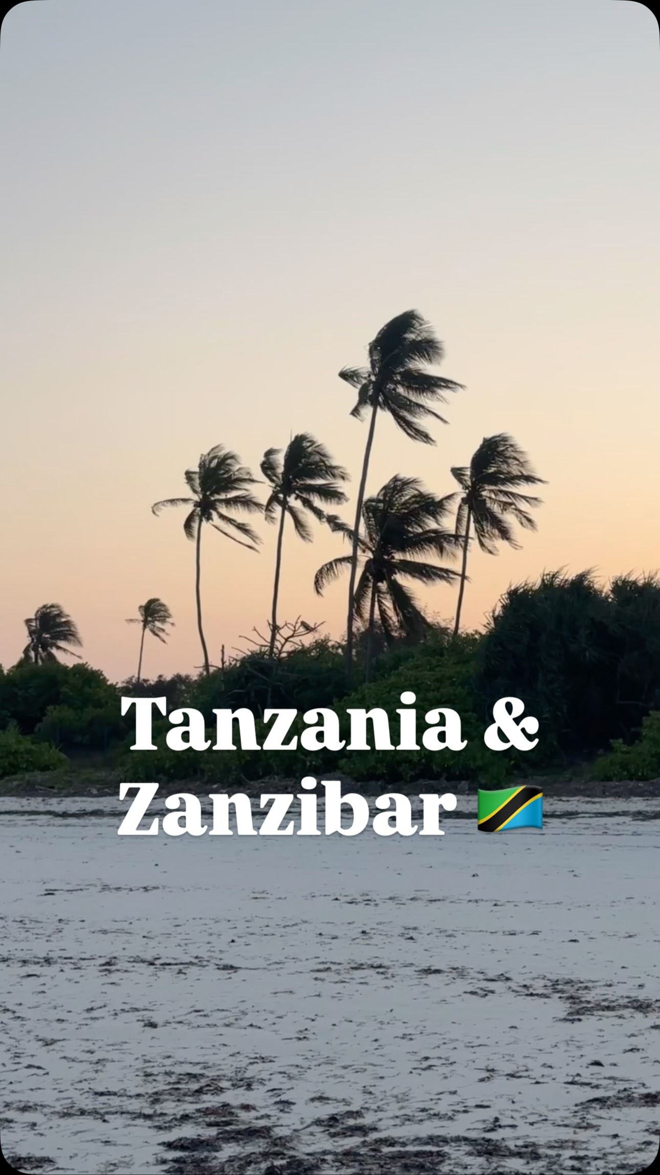 Hakuna Matata 🤎 🦁 🦒 🐘
7 Tage Safari und 7 Tage Zanzibar. Schön war’s 🥹😍 Travellina verspürt schon wieder Fernweh Send help 😂
@roxana_eileen @dubera.79 #tanzania #zanzibar #safari #travel #vacation SAFARI URLAUB REISEN ELEFANT GIRAFFE LÖWE