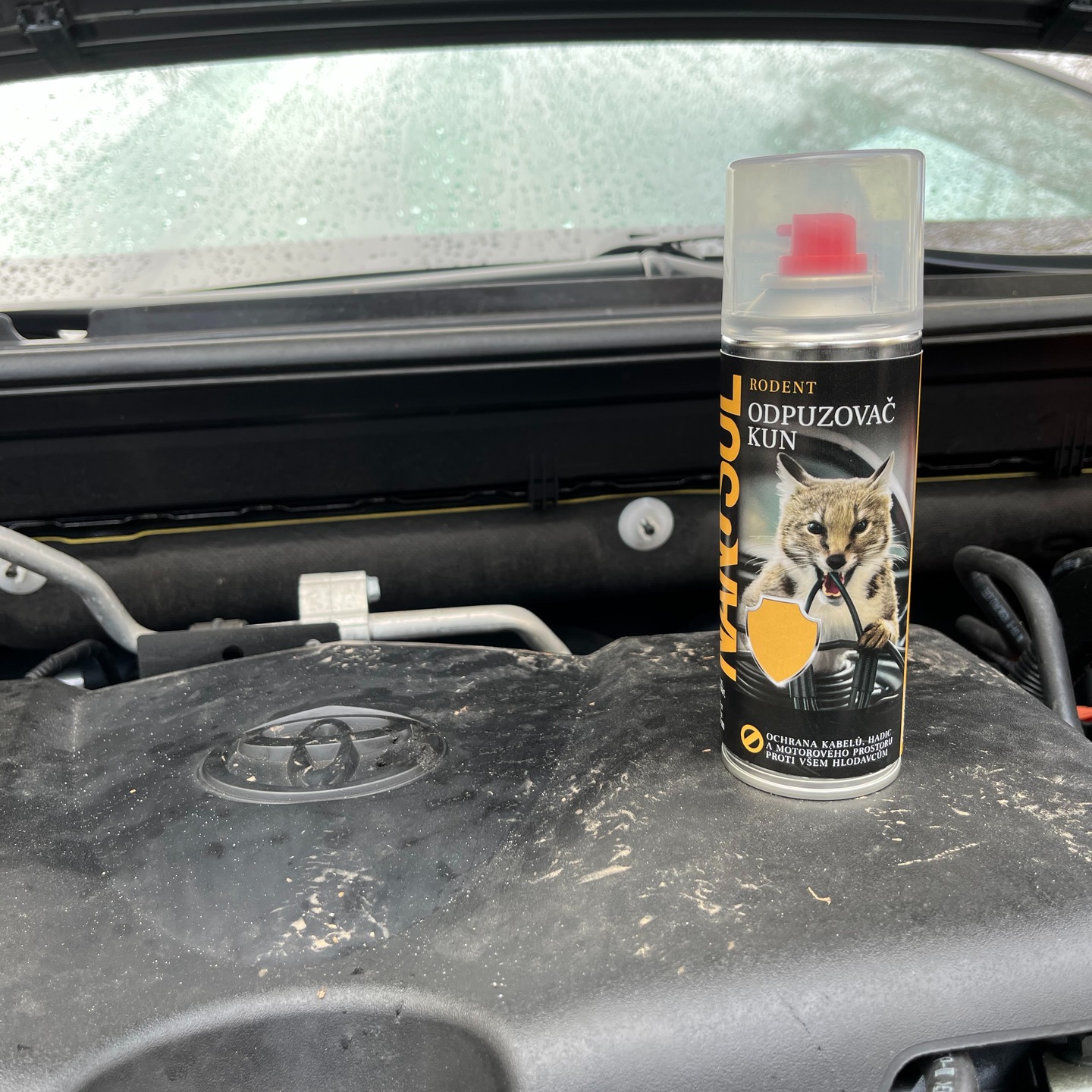 Venku stále zima a váš motor je pro nezvané hosty to nejlepší topení na světě. ❄️🐭
Ale pozor – překousané kabely a zničená izolace nejsou zrovna dárky, které pod kapotou chcete najít.
Náš ODPUZOVAČ KUN vytvoří neviditelný, ale pro kuny velmi nepříjemný štít, který je udrží v bezpečné vzdálenosti od vaší elektroniky. Chraňte své auto dřív, než bude pozdě! 🚗🛡️
#nanosol #ochranaauta #kunyvauto #stopkunam #zimnipriprava #peceoauto“