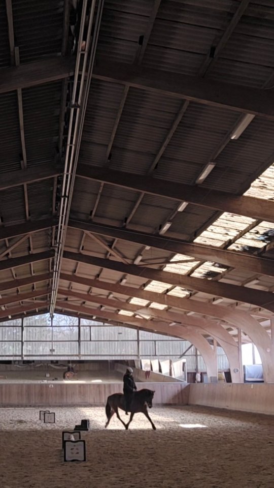 ✨️ Jungpferdeausbildung, Training & Beritt ✨️
Wie einige von Euch bereits mitbekommen haben, haben wir eine weitere Richtung eingeschlagen -> der Beritt von Gangpferden.
Warum Gangpferde? Neben unserer Leidenschaft & Faszination zu Islandpferden legen wir besonders großen Wert auf das Potenzial der Gänge, dies ist genau das wofür die Rasse Islandpferd steht.
Unser Ziel ist es, ohne Zwang, ohne Hilfsmittel (keine Ausbilder etc.) mit unseren Pferden das maximale ihrer Fähigkeiten im Gang herauszuarbeiten. Das macht nicht nur riesen Spaß, es bringt uns auch bei jedem Pferd neue Erkenntnisse & wir lernen immer etwas dazu.
Mit meinem ersten Pony Bruni von Günterscheid (Puhbie), welchen ich mit 11 Jahren bekommen habe, stellte sich mir die erste große Aufgabe. Einen Zuchthengst zu bereiten, der schon nicht mehr ganz Jung war & der wusste wie stark er war -> nach einem Jahr nahmen wir an verschiedenen Rallyes teil & sind Sulki wieauch Schlitten gefahren.
Weiter ging es mit diversen Ponys & Pferden von Freunden, teils gedopten Sportpferden, teils sturen Ponys. Später kam Cirrus, welche aus schlechter Haltung aus Portugal unantastbar hier ankam. Was man heute alles mit ihr machen kann, seht ihr selbst.
Die Zusammenarbeit mit @fiona_hens & @paulina_19.04 startete tatsächlich bereits zwischen 2021 & 2022. Dort beritten wir gemeinsam die liebe Toffi.
Heute reiten wir bereits unsere 2020 selbst gezogenen Ponys Prinz & Prinzessin auf solidem A-Niveau in der Dressur, was unglaublich toll ist, denn beide sind erst seit Sommer 2025 richtig unterm Sattel & werden nicht jeden Tag geritten!
Mit einem tollen Team begegnen wir dieser tollen Herausforderung ?
Wir freuen uns, morgen unsere ersten Beritt-Isis bei uns begrüßen zu dürfen & sind gespannt, wo die Reise hinführt. ??✨️