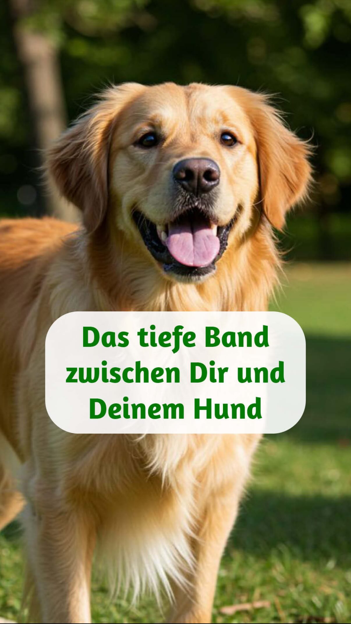 1️⃣ Wissenschaftler haben herausgefunden: Es geht nicht um Futter oder Pflege – sondern um Genetik. ? Manche Hunde sind biologisch darauf programmiert, sich tief an eine einzige Person zu binden, deren Energie zu ihnen passt. Wenn Dein Hund Dich gewählt hat, bist Du wortwörtlich in seinem Nervensystem verankert ?
2️⃣ Was die Wissenschaft misst, spüren wir energetisch schon lange:
Dein Hund reagiert nicht auf Worte – sondern auf Dein Feld.
Auf Deine innere Ruhe.
Deine Unruhe.
Deine Wahrheit.
Er liest Dich auf einer Ebene, die jenseits von Verstand funktioniert – über Schwingung, Resonanz und Herzverbindung. ?
3️⃣ Darum fühlt sich diese Bindung oft so tief und manchmal schmerzhaft schön an:
Dein Hund ist nicht „nur“ bei Dir.
Er hält Raum für Dich.
Er reguliert Dein Nervensystem, trägt Deine Emotionen mit und bleibt verbunden – selbst über Abstand, Zeit und Tod hinaus.
Das ist keine Einbildung.
Das ist Seelensprache. ?✨
✨ Wenn Du lernen möchtest, diese Verbindung bewusst zu öffnen und die Botschaften Deines Tieres wirklich zu verstehen:
Dann lade ich Dich herzlich in meinen kostenfreien Live-Workshop zur Tierkommunikation ein.
? Kommentiere „Workshop“ ?
und ich sende Dir alle Infos, wie Du Tierkommunikation Schritt für Schritt lernen kannst –
klar, geerdet und aus dem Herzen.