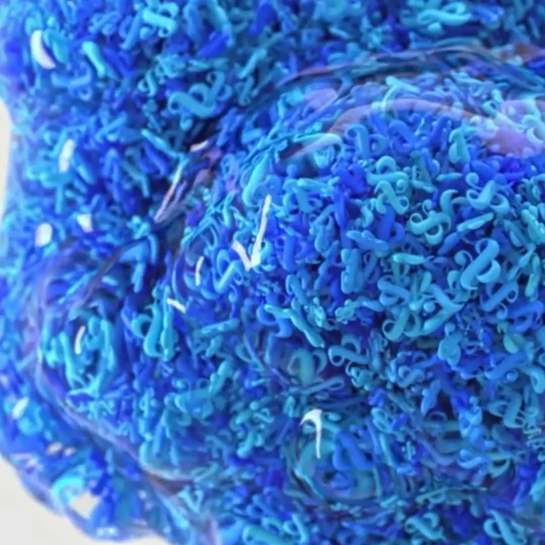 Ampersand 3D render #3d #test #abstract #r&d #test #stills #design #c4d