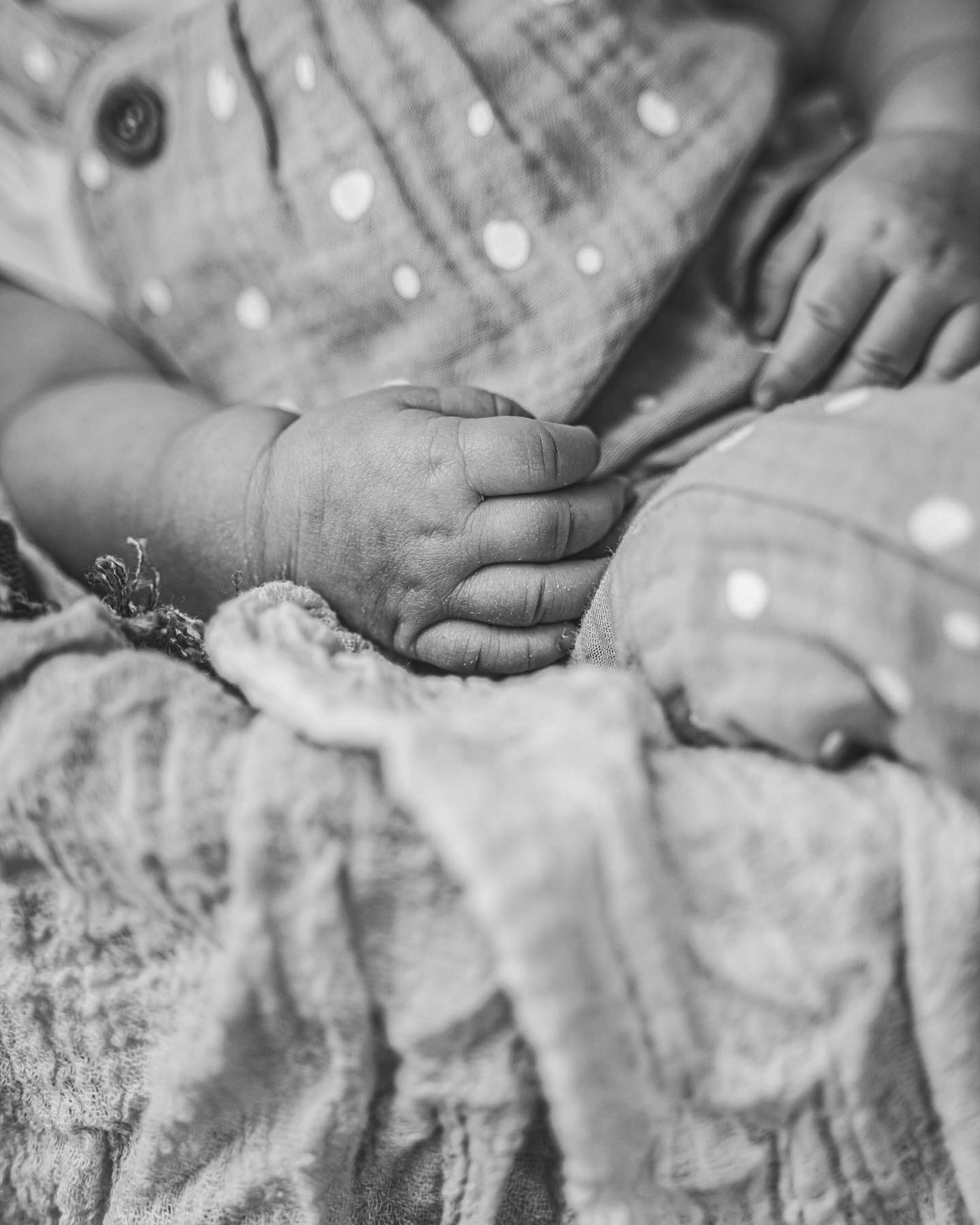 ??? ????? ?? ???? ???? ?????!
#baby #babyboy #babygirl #fotoshooting #familie #familienfoto #familienleben #fotoshooting #fotografie #eifel #kΓΆln #bonn #aachen #bitburg #prΓΌm