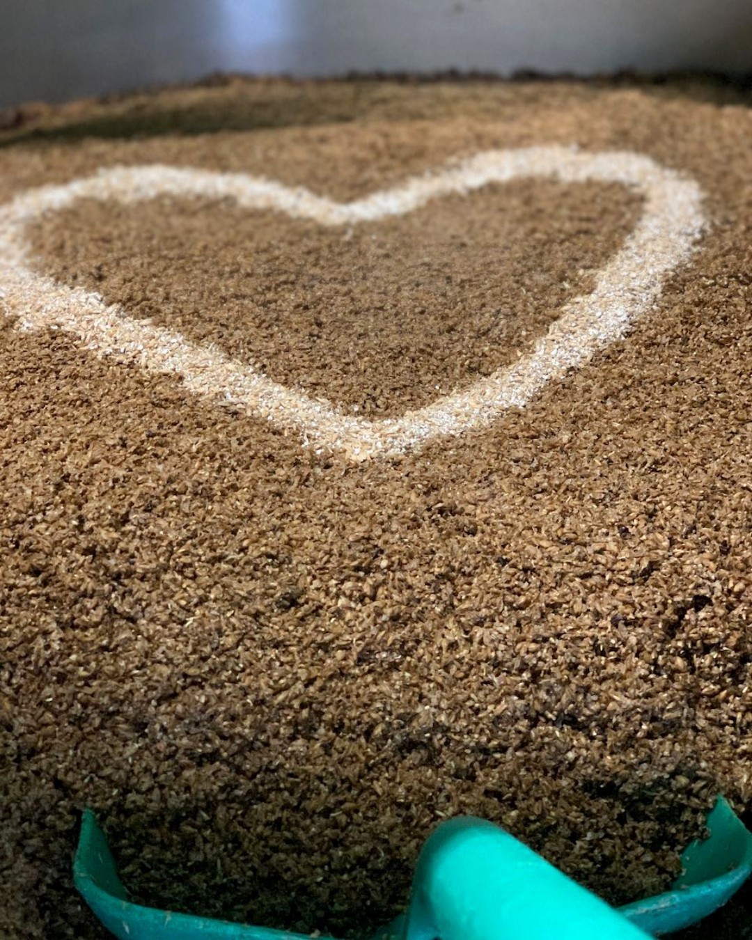 Spreading the love today❤️ Happy Valentines Day from the NCB team!
_________________________
#valentinesday #valentines #gift #ale #beer #northcotswoldbrewery #greenman #brewery #ales #brewing #microbrewery #cotswolds #familybusiness #camra #beer #beerlover #ibeer #beerlife #ilovebeer #hops #craftale #craftbeer