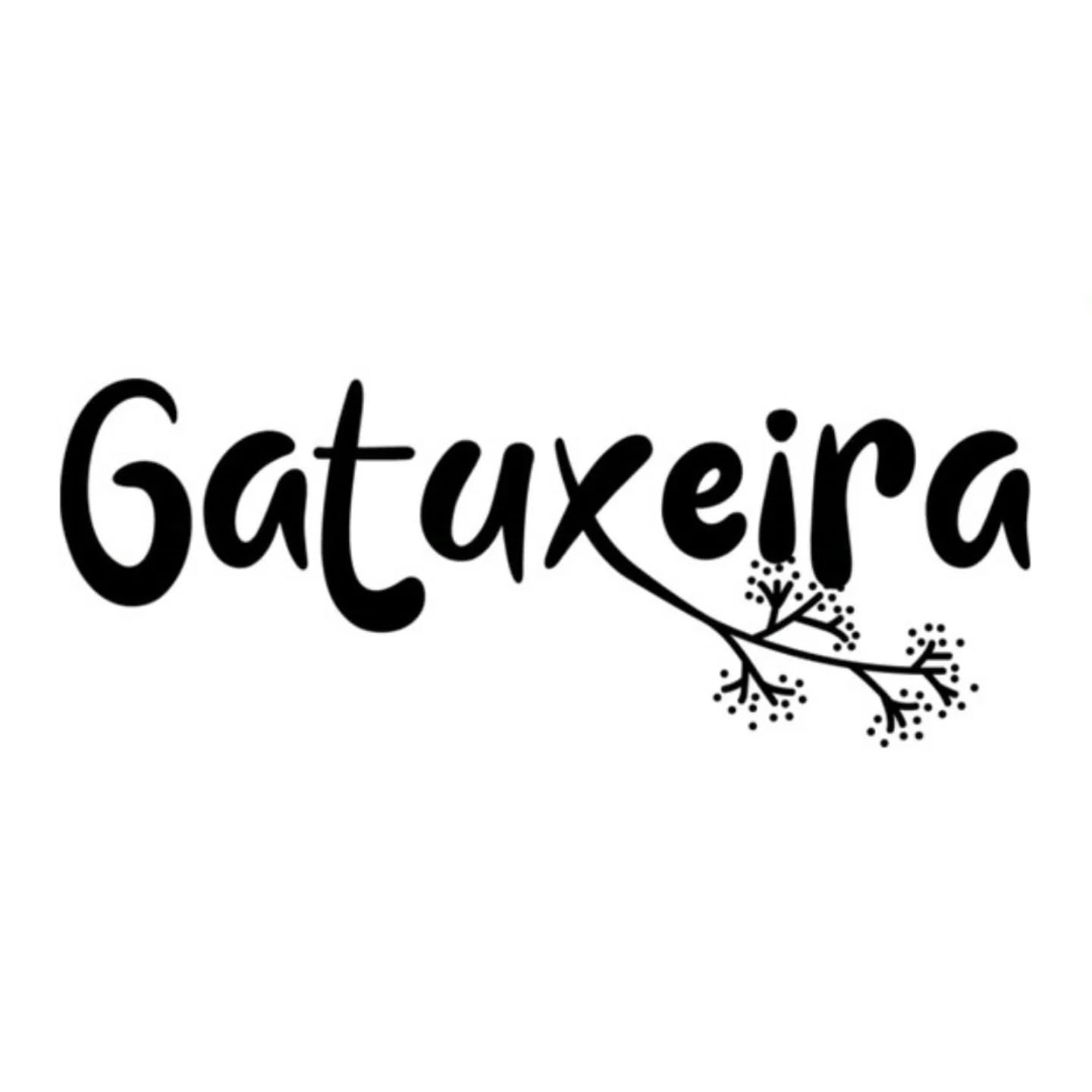 ¡Empezando el año con más energías! Web renovada y esperemos que más fluida.
www.gatuxeira.com