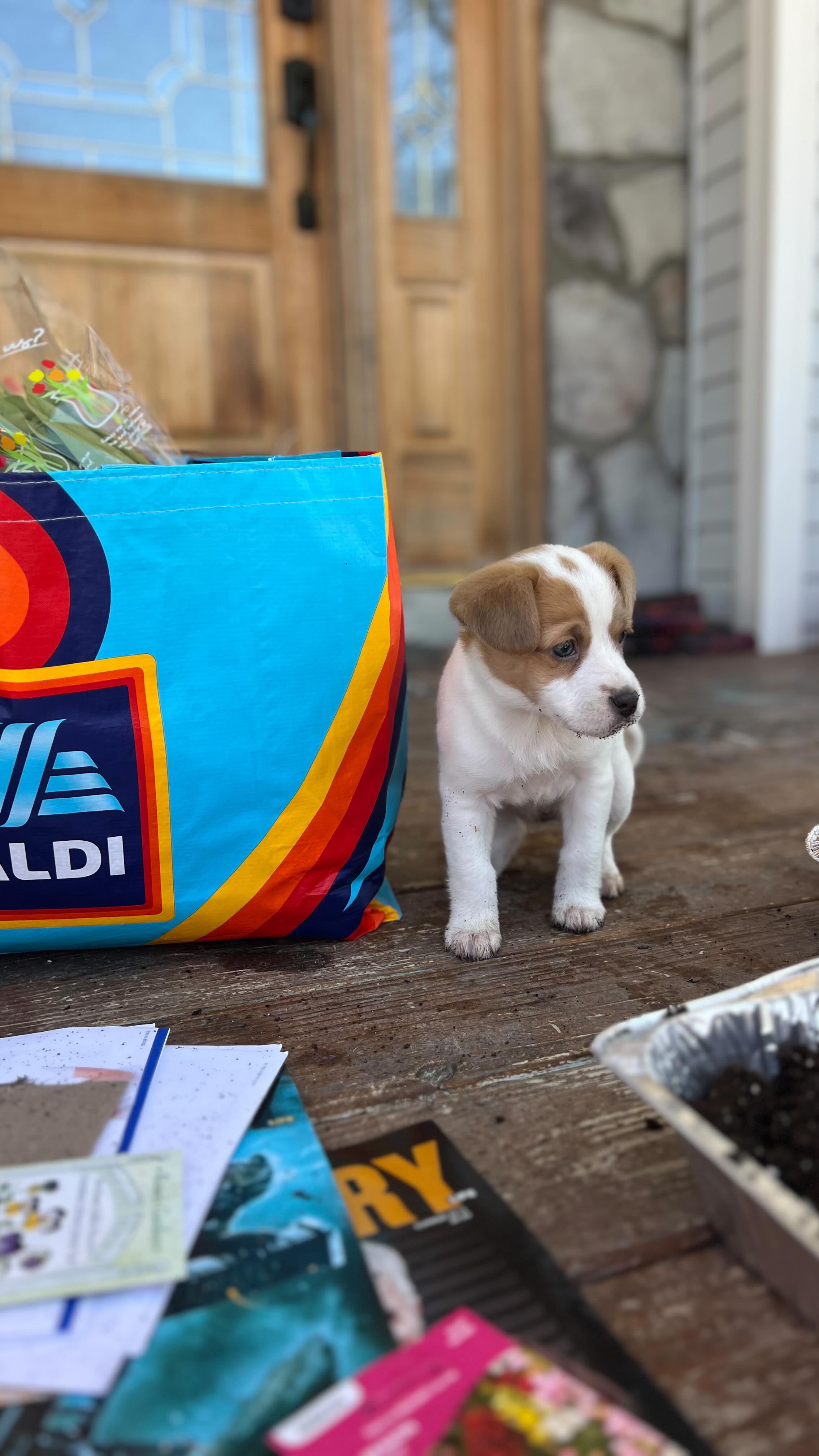 Your girl’s a menace?