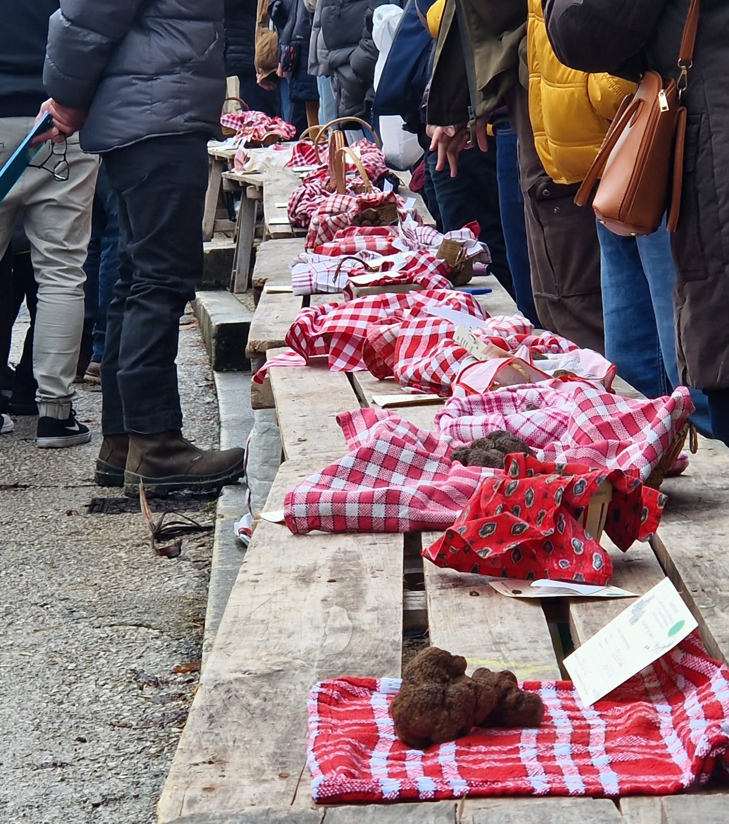 Marché aux Truffes de Lalbenque 🍄🐖🌳
Dernier marché aux truffes avant la pause – rendez-vous en hiver pour la prochaine saison !
•
Die Trüffelsaison neigt sich dem Ende zu.
Im November beginnt wieder die Zeit der Quercy-Trüffel. 🇫🇷
•
📍 #lalbenque #marcheauxtruffes #truffes #truffenoire #perigordnoir
