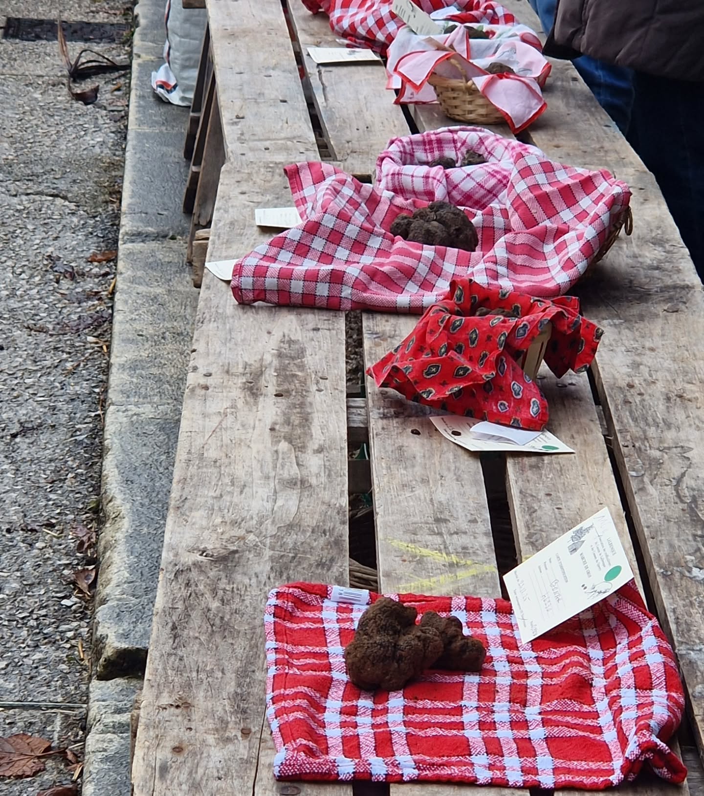 Marché aux Truffes de Lalbenque 🍄🐖🌳
Dernier marché aux truffes avant la pause – rendez-vous en hiver pour la prochaine saison !
•
Die Trüffelsaison neigt sich dem Ende zu.
Im November beginnt wieder die Zeit der Quercy-Trüffel. 🇫🇷
•
📍 #lalbenque #marcheauxtruffes #truffes #truffenoire #perigordnoir