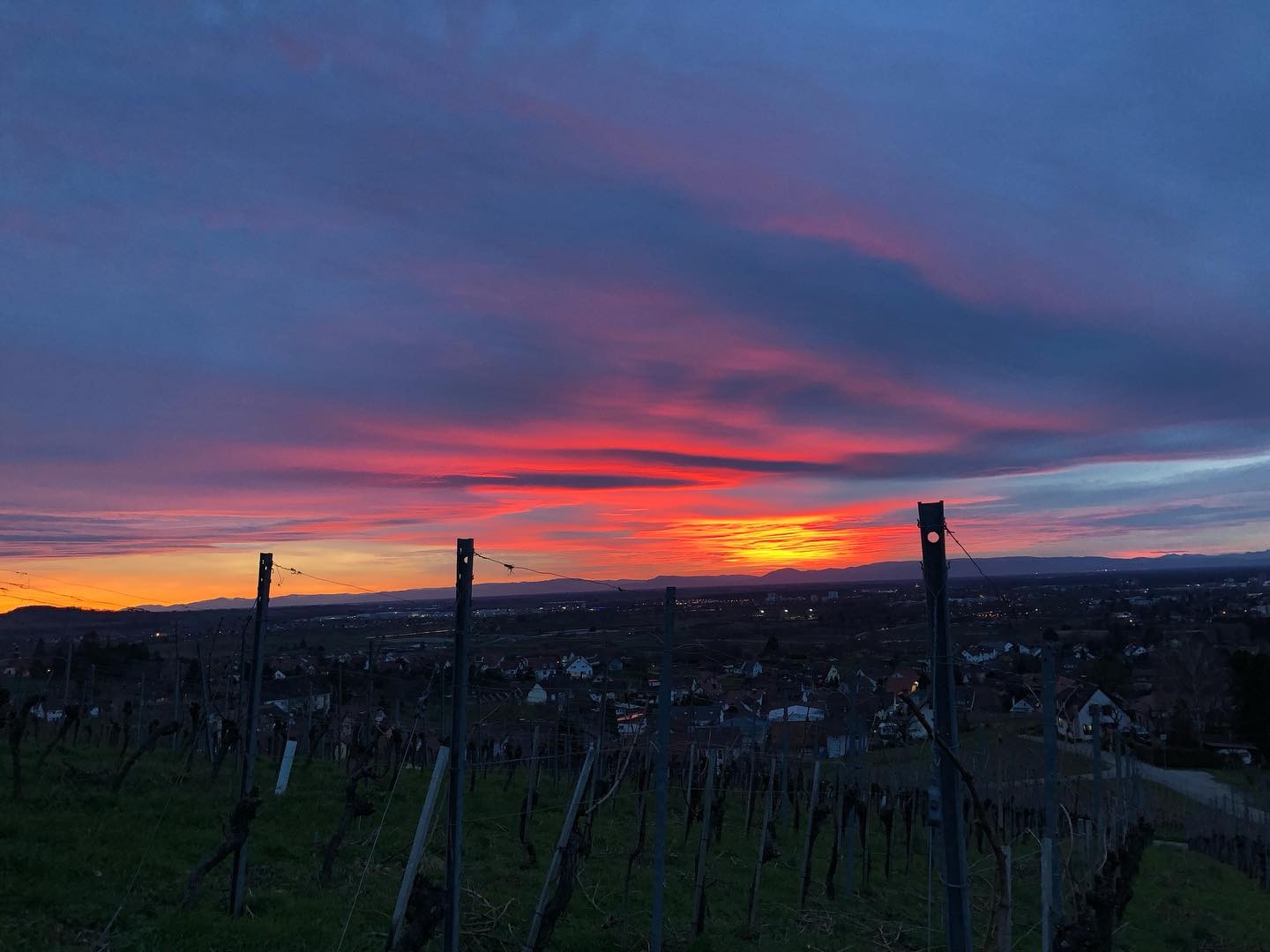 ? 2 Tag #meetthewinery | REGIONALTYPISCH?
Unter der badischen Sonne können die Weintrauben reifen ☀️Die Ortenau ist vor allem für Spätburgunder und Riesling bekannt ?
#herzwerk #weinkunstliebe #wein #spätburgunder #ortenau #schwarzwald #deutscherwein #baden #ortenau #liebe #kunst #rotwein #rosé #blancdenoirs #meetthewinery