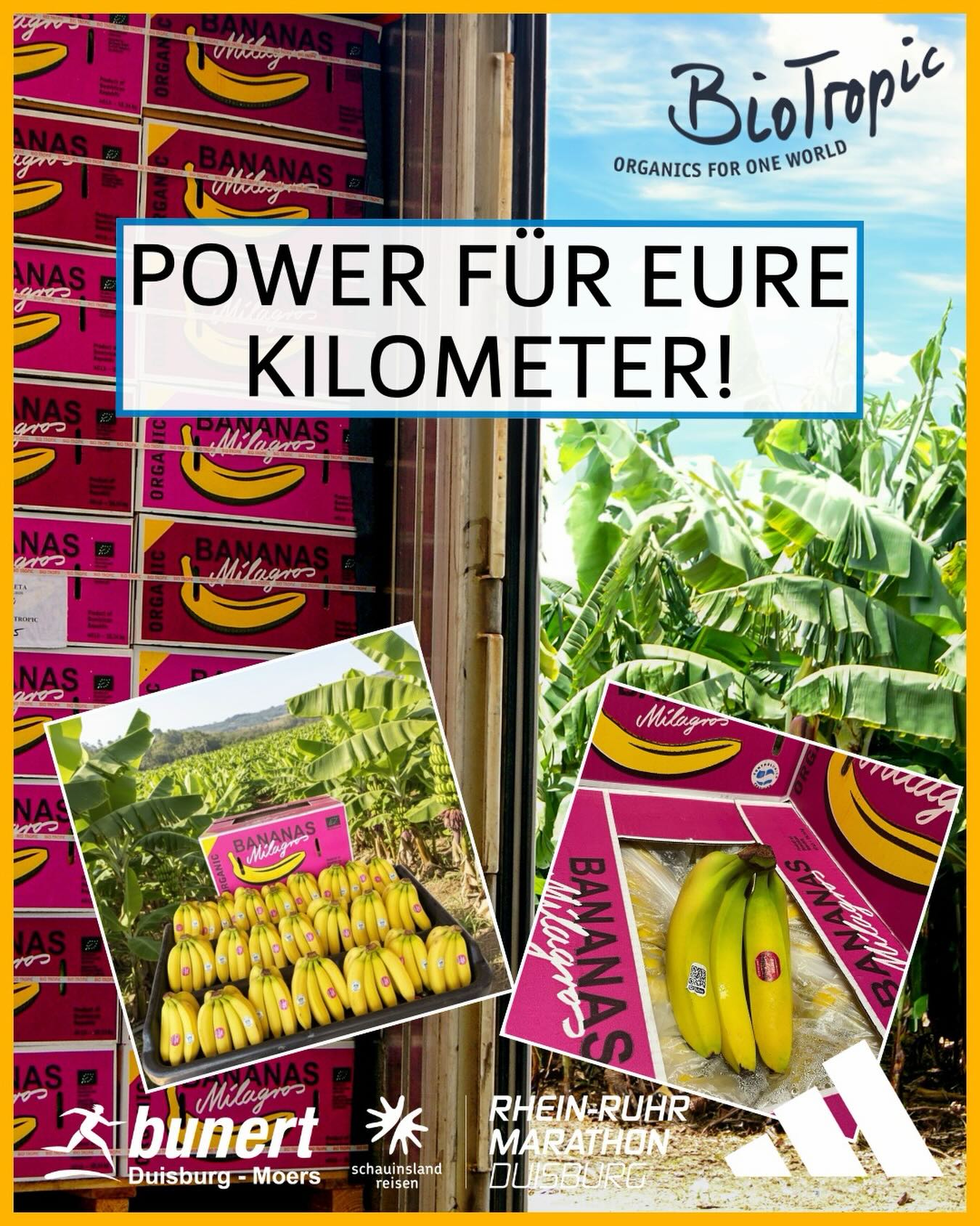 🍌 Mit Bananen-Power gut versorgt! 🍌Auch 2026 sorgt BioTropic wieder für die extra Portion....