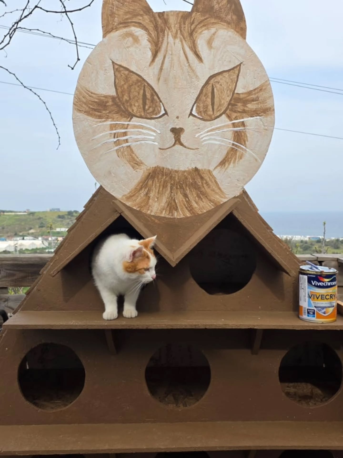 Cat house WIP 🎉