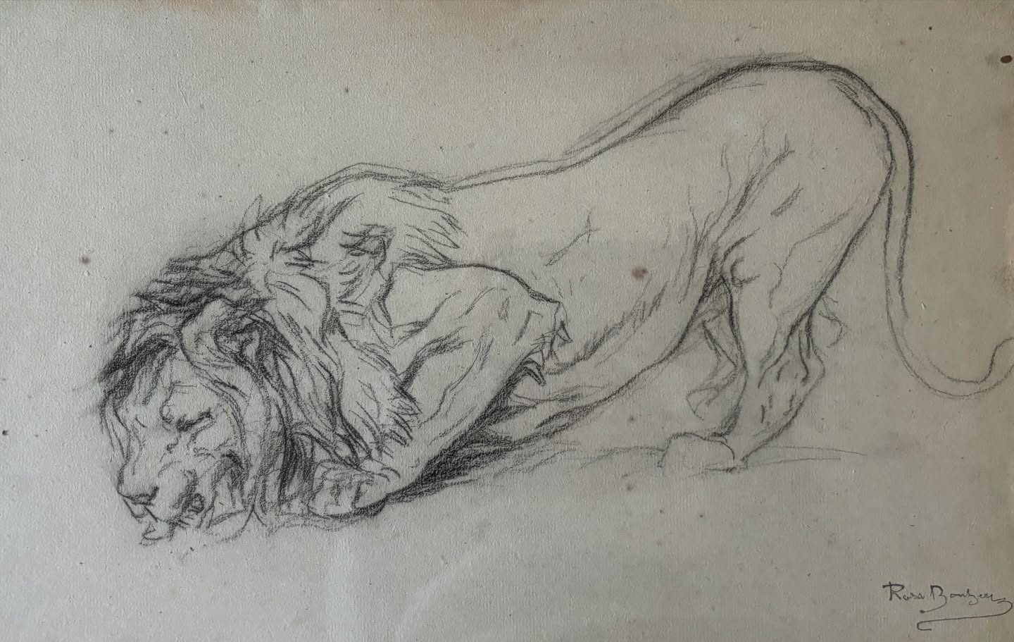 Dessin d’un lion de Rosa Bonheur ?
Un croquis vif et brillant, fidèle au travail de Rosa Bonheur.
Elle disait : « Je m’efforçais de mettre dans tout ce que je faisais l’exactitude des moindres détails. Je dessinais l’animal dans les diverses attitudes qu’il prenait, et lorsqu’il venait à en changer, je n’avais pas la simplicité d’attendre qu’il lui plût de reprendre celle que j’avais trouvée intéressante. Je saisissais la nouvelle pose. Mais s’il revenait à la première, j’en profitais pour compléter le croquis commencé. »
#rosabonheur #chateaurosabonheur #museerosabonheur #lion #femmeartiste