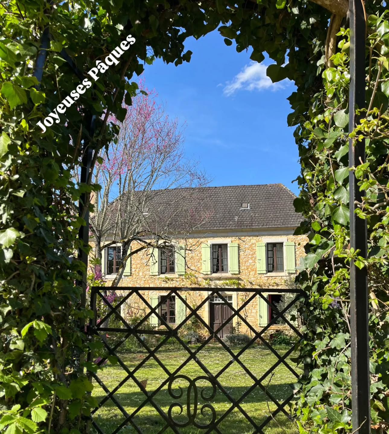 Joyeuses Pâques! 🐣🐇
•
Frohe Ostern! ☀️
•
#LeColombié #HappyEaster #FroheOstern #Südfrankreich