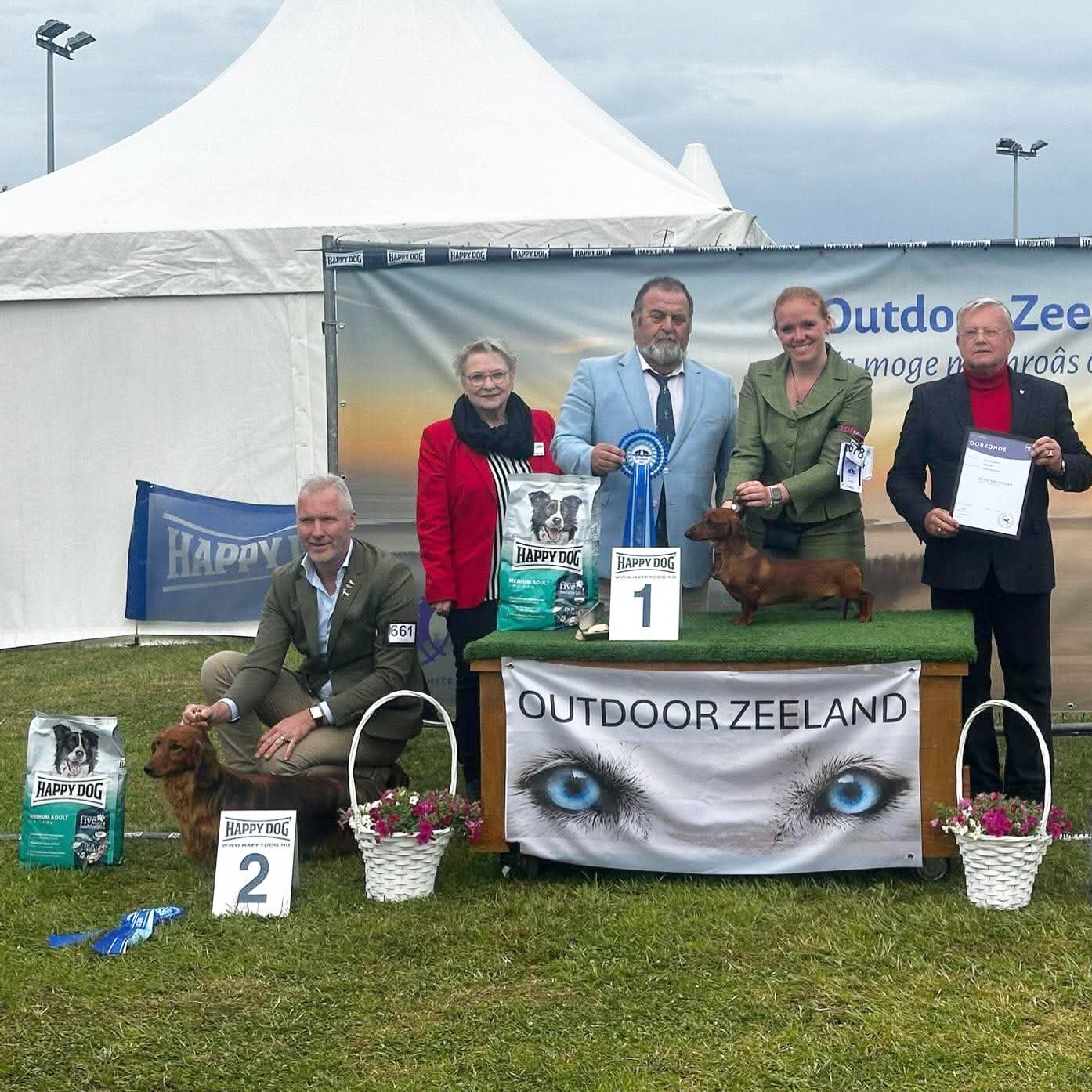 Onze teckels zetten hun beste beentjes voor op de show in Zeeland😃… 2 groeps overwinningen/3 beste vd ras 🥳🥳 #hoefstal #hoefstalteckels #standaardlanghaarteckel #kortharigedwergteckel #ruwharigekaninchenteckel