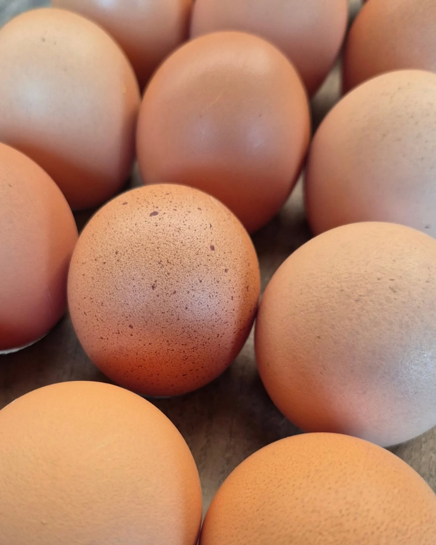 Eier. Kartoffeln. Hack.
Drei Dinge, die zum Allltag gehören.
Und die bei uns im Laden zusammenkommen.
Sie sind das Ergebnis unserer täglichen Arbeit.
Sie zeigen den Boden, in dem sie gewachsen sind.
Die Wiesen, auf denen sie gerast haben.
Und die Verantwortung, mit der wir ihnen begegnen.
So alltäglich.
Und genau darin liegt das Besondere.
#hofhahnenwiese #hofladen #Landwirtschaft #hieranderlahn #ehrlichelebensmittel