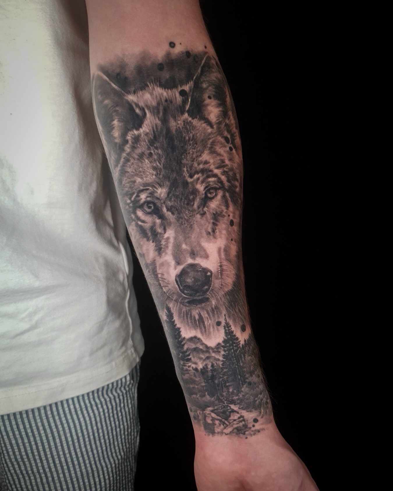 Frisch gestochen ist Silber, abgeheilt ist Gold.
Ein realistischer Wolf verliert mit der Zeit nicht an Kraft - er gewinnt an Charakter. Wie gefällt euch das abgeheilte Ergebnis?
.
#evilsaints #healedtattoo #blackandgreytattoo #realismotattoo #wolfstattoo