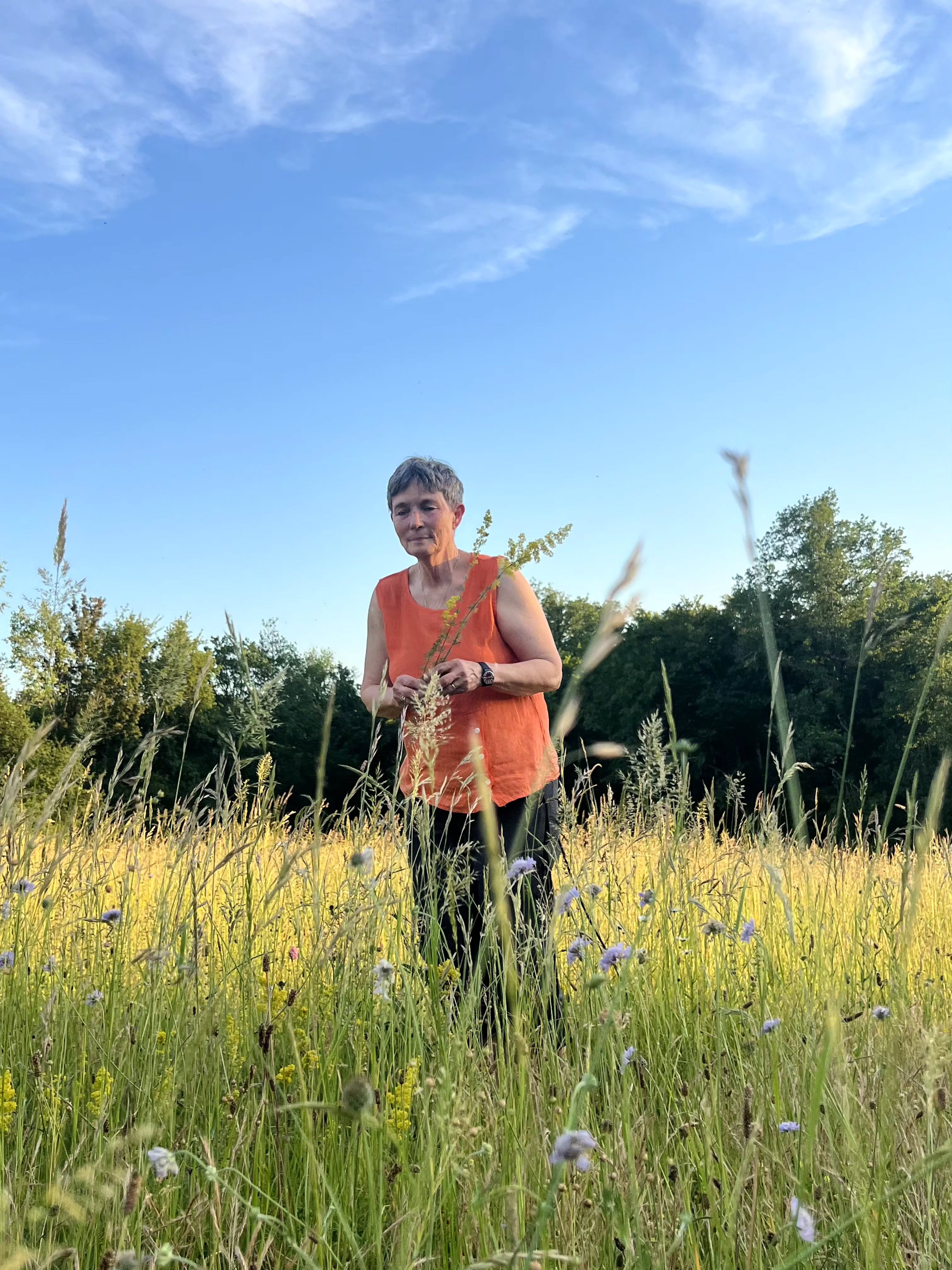 Printemps au Colombié! 🌿
.
Johanna ist wieder mit am Start, es wurden Zäune gebaut und im Garten fleißig gepflanzt. ☀️
.
#lecolombié #ferienhausfrankreich #landreise #draußenimgrünen #bauernhoffrankreich