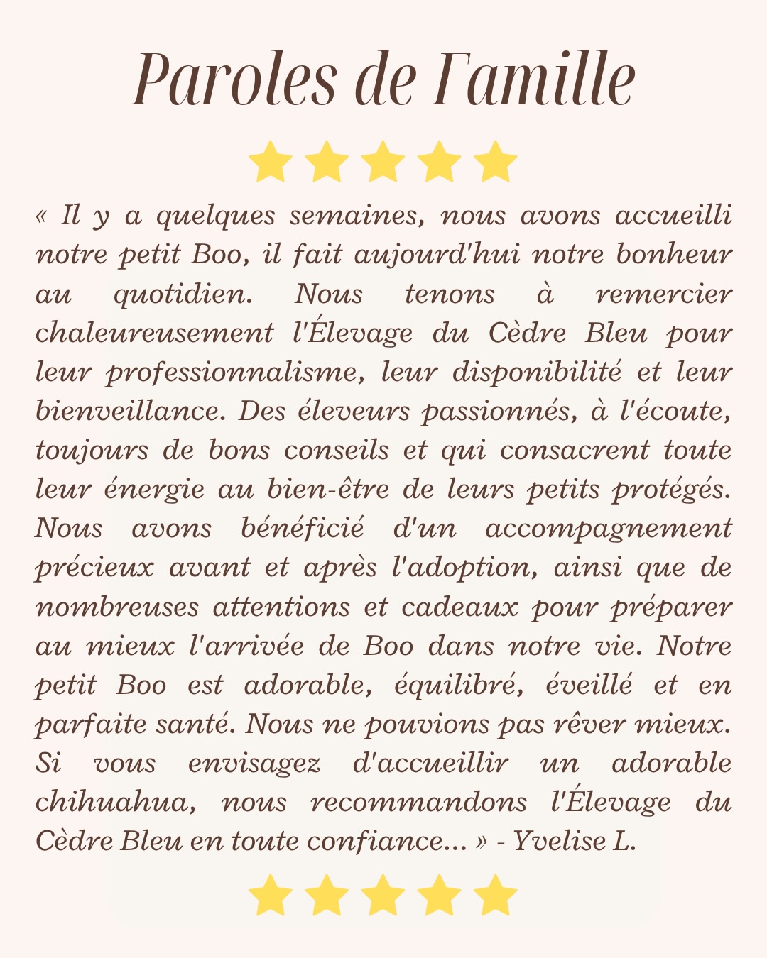✨ Paroles de famille ✨Il y a quelques semaines, Boo a rejoint sa nouvelle famille… et il fait aujourd’hui leur bonheur au quotidien 🐶💛Un immense merci pour ce magnifique retour qui nous touche profondément :« Nous tenons à remercier chaleureusement l’Élevage du Cèdre Bleu pour leur professionnalisme, leur disponibilité et leur bienveillance. Des éleveurs passionnés, à l’écoute, toujours de bons conseils et qui consacrent toute leur énergie au bien-être de leurs petits protégés.
Nous avons bénéficié d’un accompagnement précieux avant et après l’adoption, ainsi que de nombreuses attentions et cadeaux pour préparer au mieux l’arrivée de Boo dans notre vie.
Notre petit Boo est adorable, équilibré, éveillé et en parfaite santé. Nous ne pouvions pas rêver mieux. Si vous envisagez d’accueillir un adorable chihuahua, nous recommandons l’Élevage du Cèdre Bleu en toute confiance. Merci encore pour tout ce que vous faites pour vos petits amours. »Ces mots sont notre plus belle récompense 💛✨#ParolesDeFamille #Chihuahua #ChiotChihuahua #ChihuahuaLove #ElevageChihuahua ChihuahuaLife