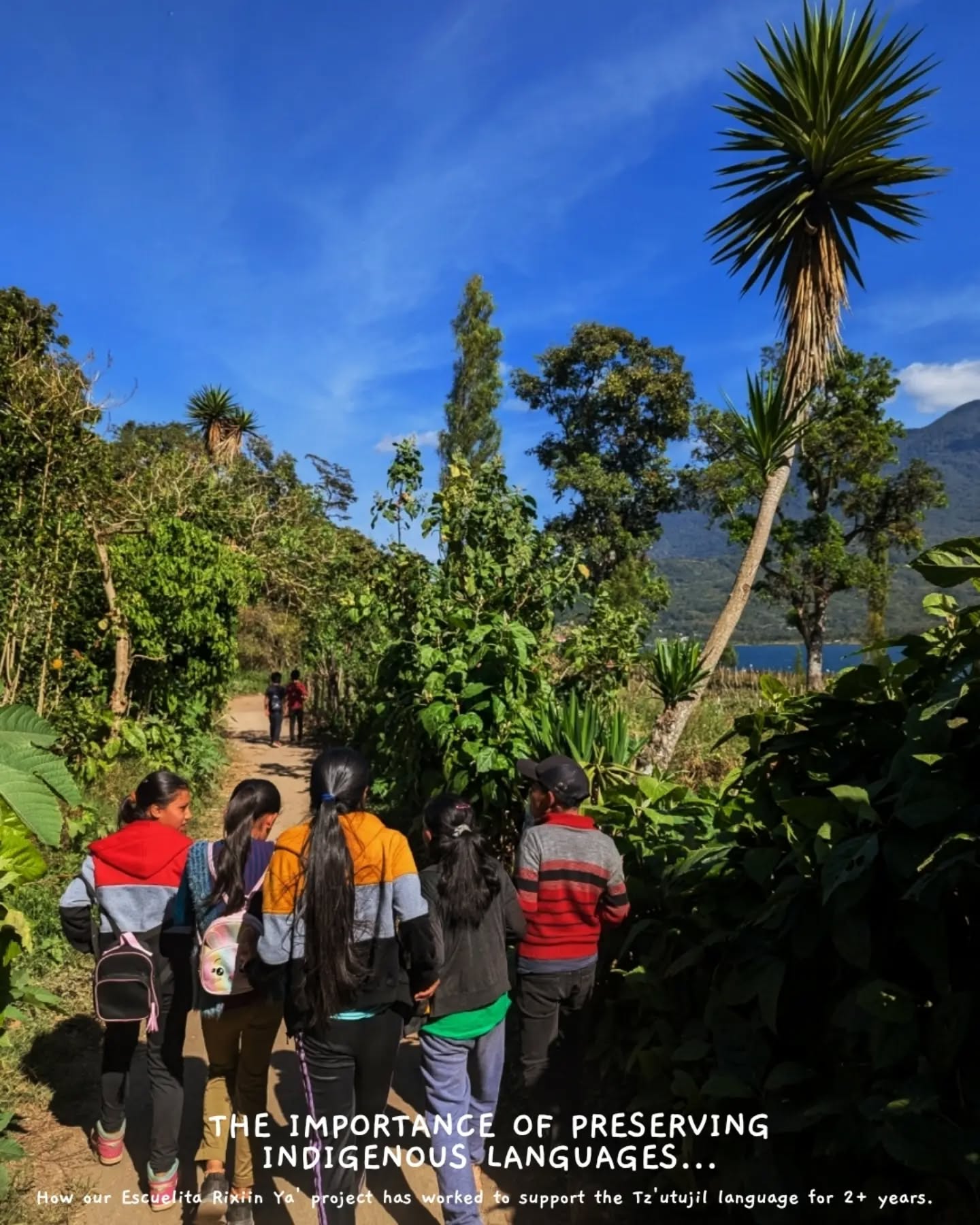 We're on a mission to keep the Tz'utujil language alive through our Escuelita Rixiin Ya' project!
With each passing generation, Tz'utujil is becoming less popular, as Spanish and English take priority. This has major consequences... We've already met grandchildren who are unable to properly communicate with their grandparents.
But it will go much deeper - If the language goes, then so will the culture... We're not talking about the ecstatic dance sessions or mushroom ceremonies on lake Atitlan, but the real culture. The 5000+ years of history that ties the indigenous population to the lake.
Once it's gone, it's gone. Let's not let that happen.
If you're interested in linguistics or the preservation of languages, then please do reach out. We're more than happy to collaborate with other people who want to see this culture last long into the future.
✌️ ??
#guatemala #lakeatitlan #indigenous #ecstaticdance #isnotpartoftheculture