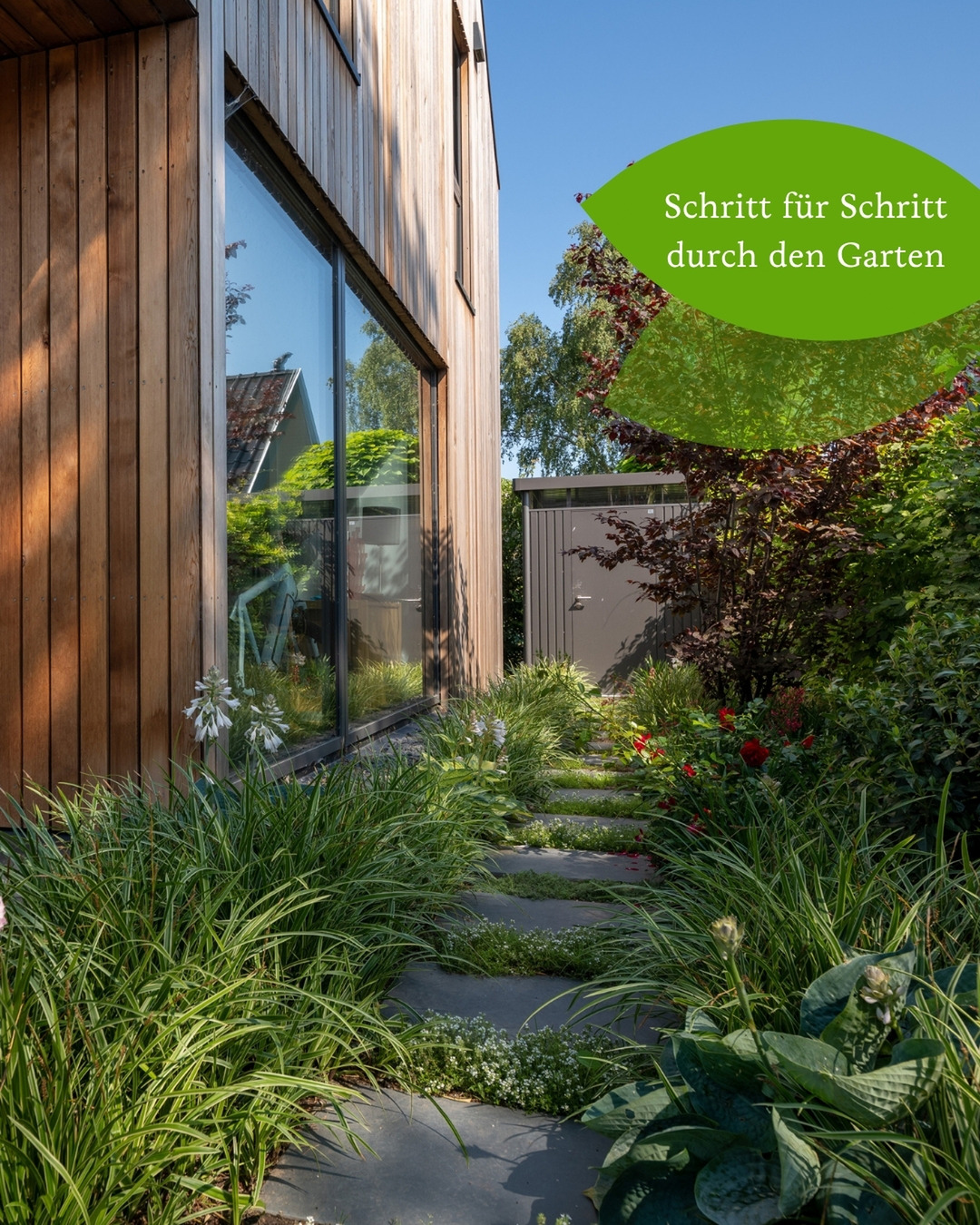 Manchmal sind es die kleinen Details, die einen Garten besonders machen.
Schrittplatten gehören genau dazu.
Sie führen durch den Garten, lenken den Blick und schaffen Wege, ohne den Charakter einer Fläche zu verlieren.
Vor allem in Pflanzungen wirken sie oft leichter und natürlicher als klassische Wege. Fast so, als wären sie schon immer dort gewesen.
Und ganz nebenbei machen sie Lust, den Garten zu entdecken.
Würdet ihr lieber über einen klassischen Weg oder über Schrittplatten durch den Garten gehen? 🌿
#gaertnervoneden #schrittplatten #gartendesign #gartenwege #garteninspiration